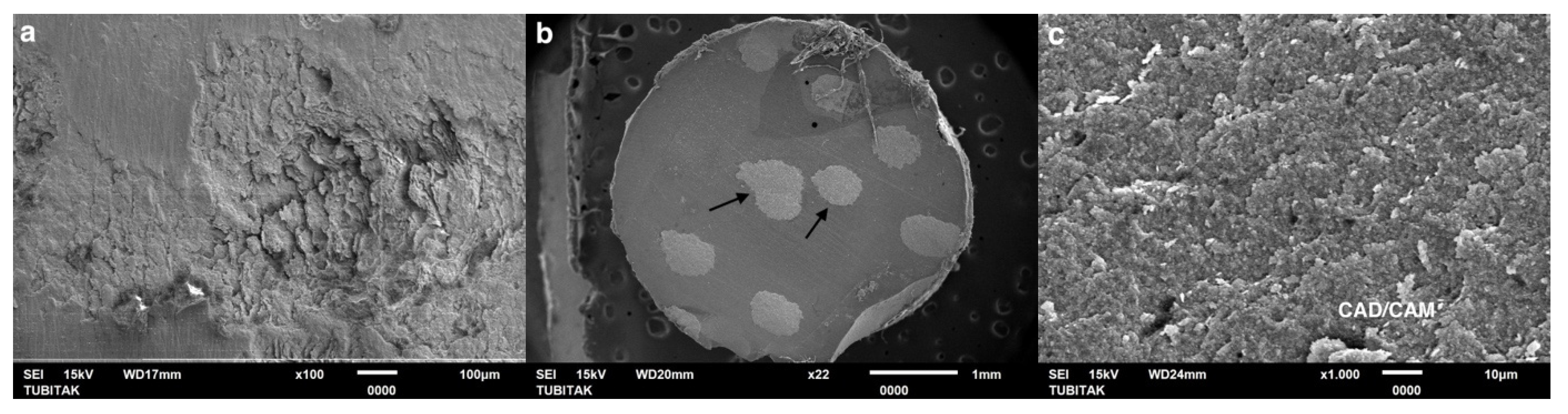 Coatings 15 00432 g007