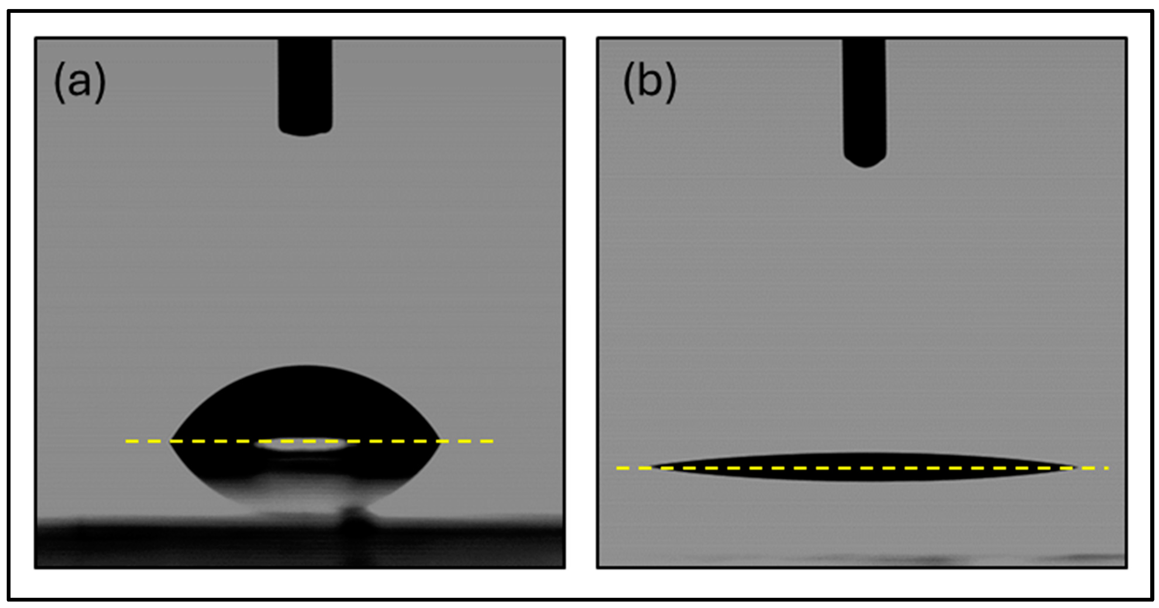 Coatings 15 00437 g006