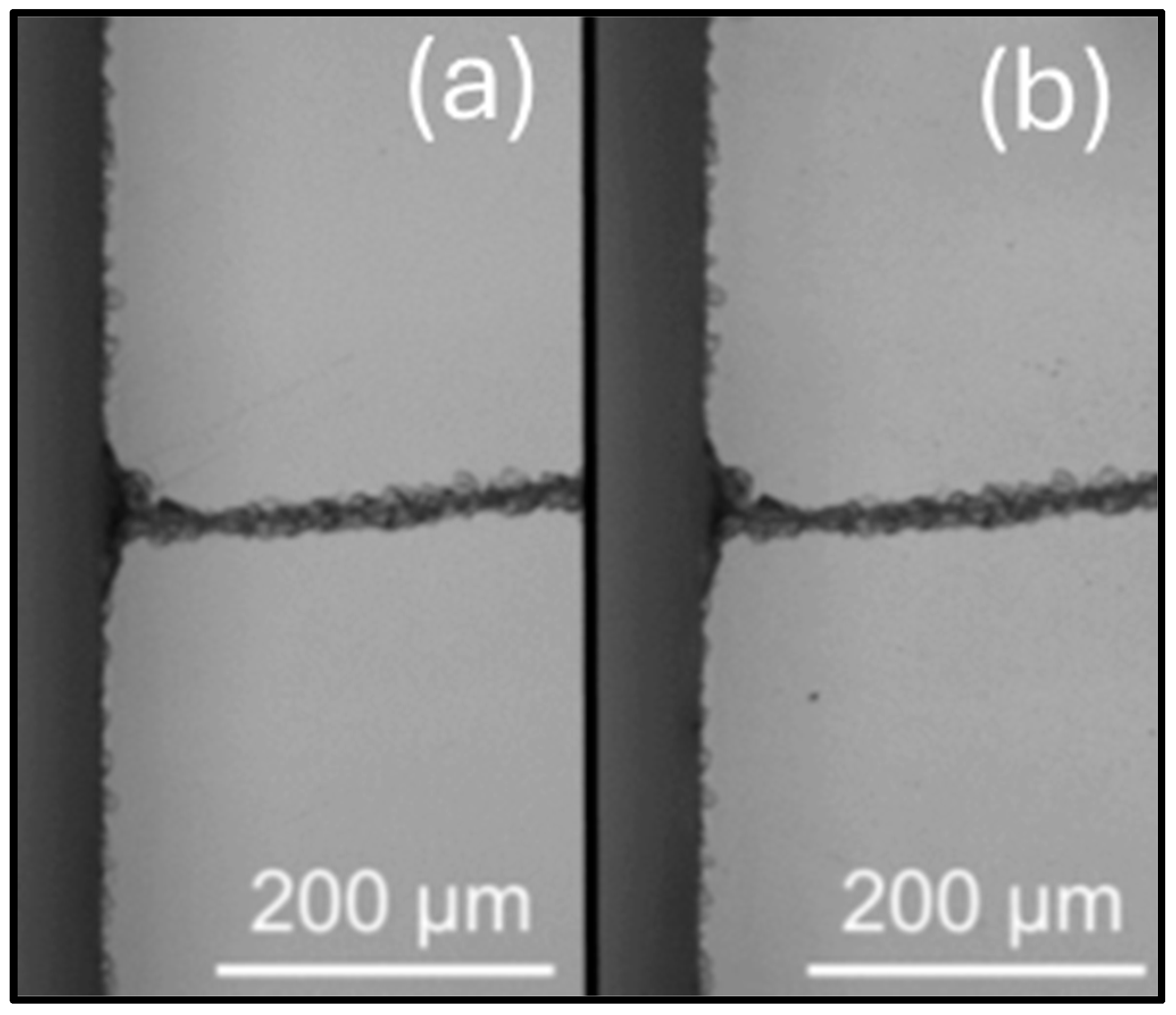 Coatings 15 00437 g008