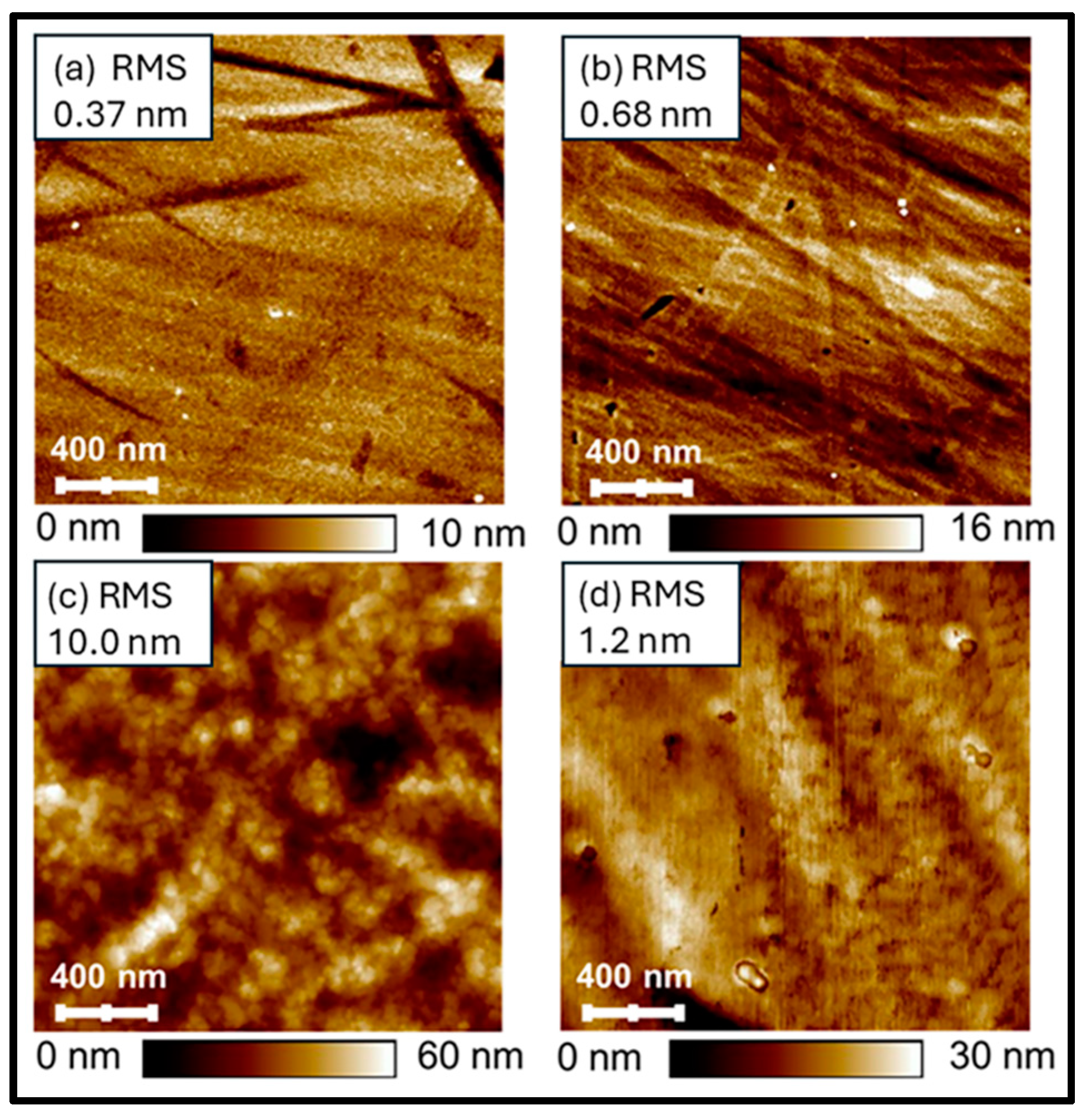 Coatings 15 00437 g010