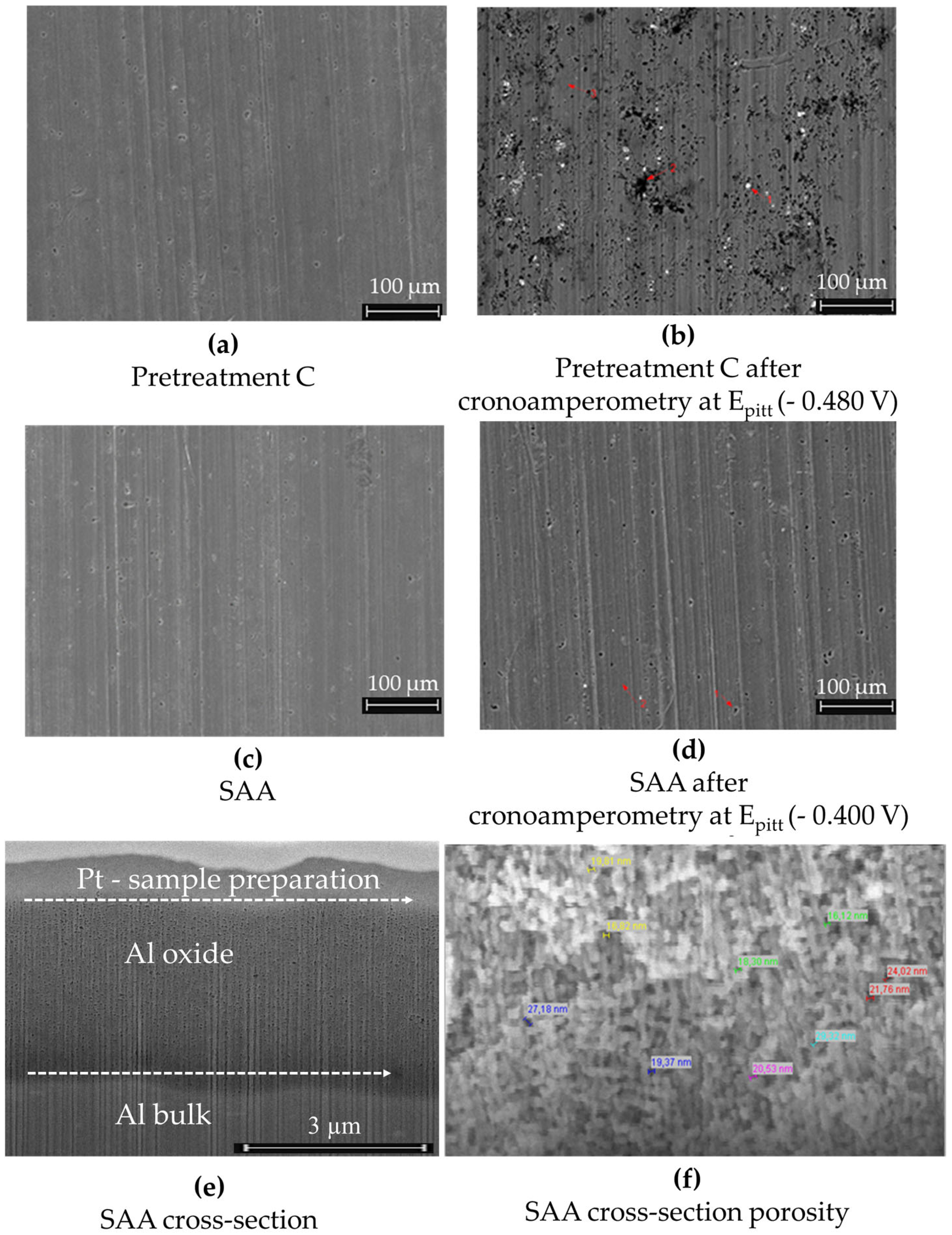 Coatings 15 00439 g013 Coatings 15 00439 g013