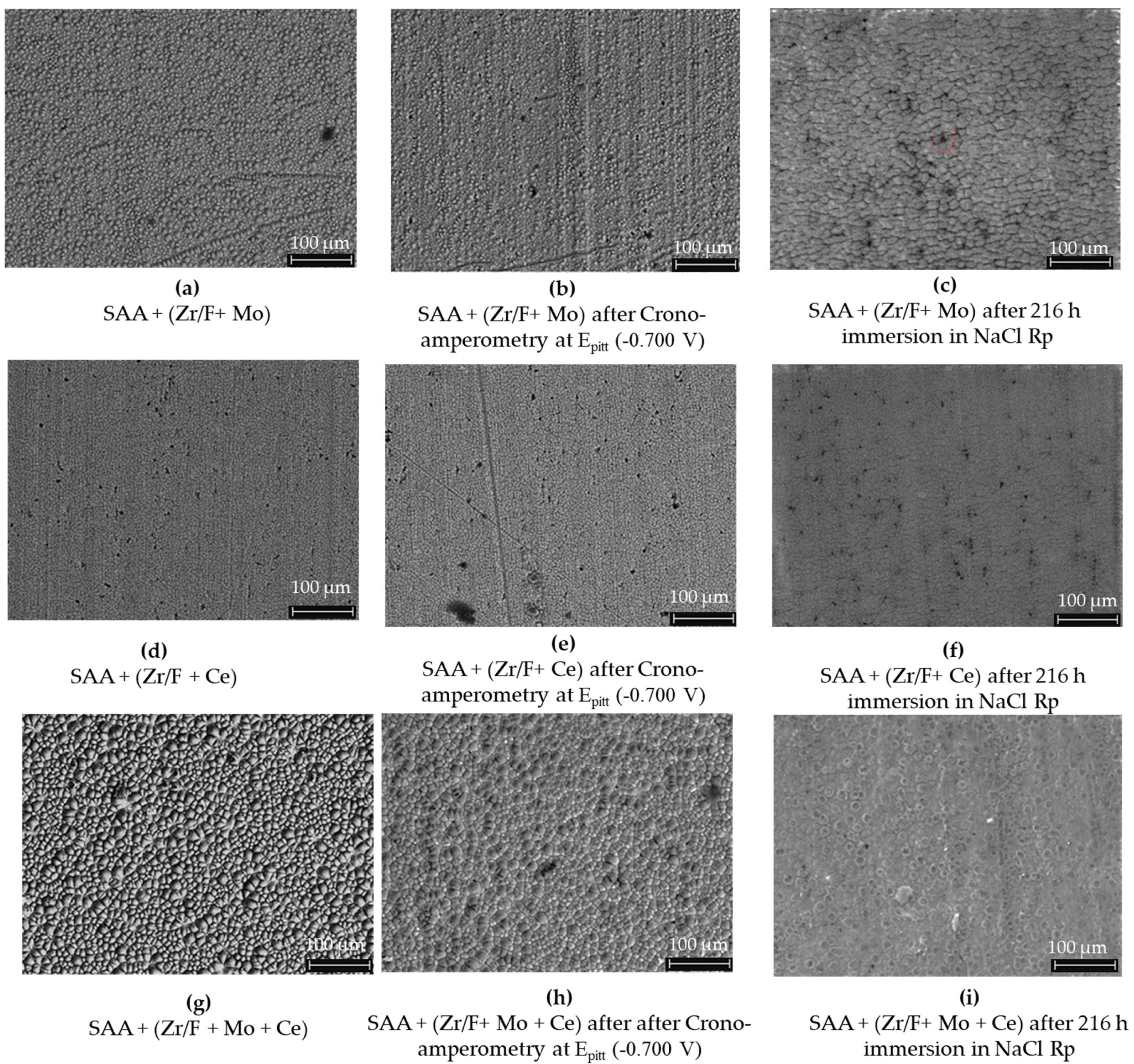 Coatings 15 00439 g014 Coatings 15 00439 g014
