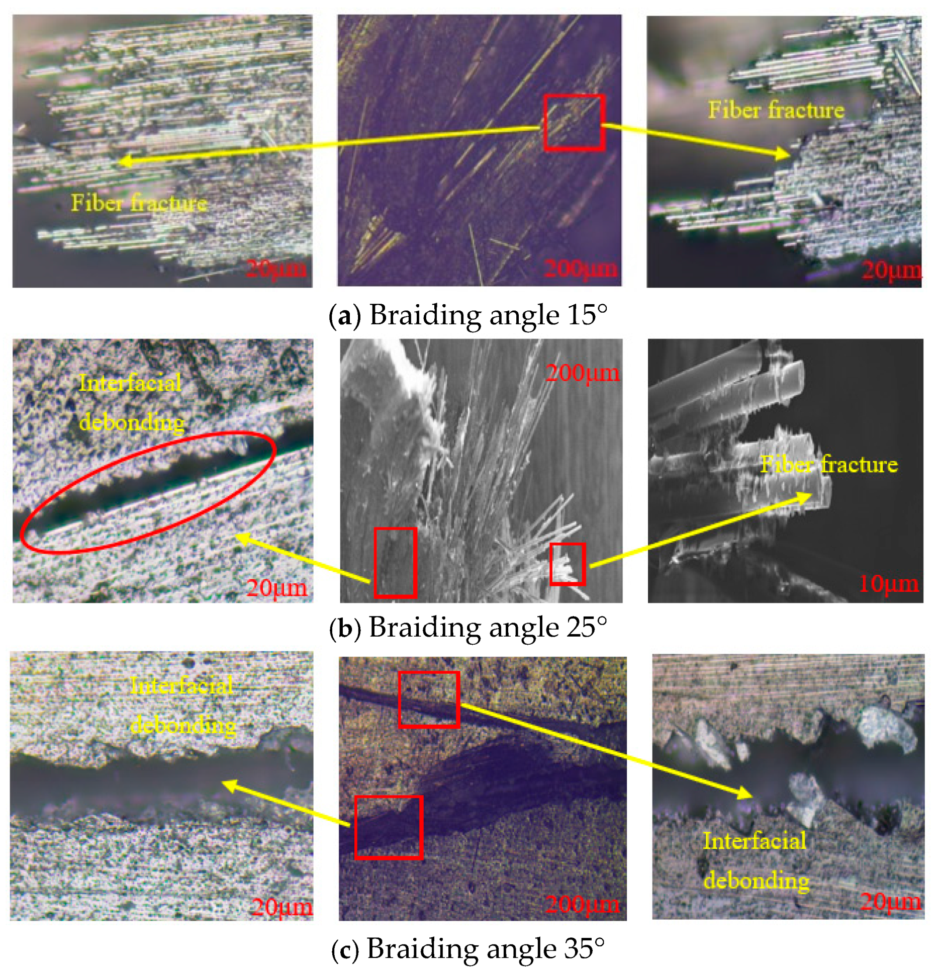 Coatings 15 00440 g011