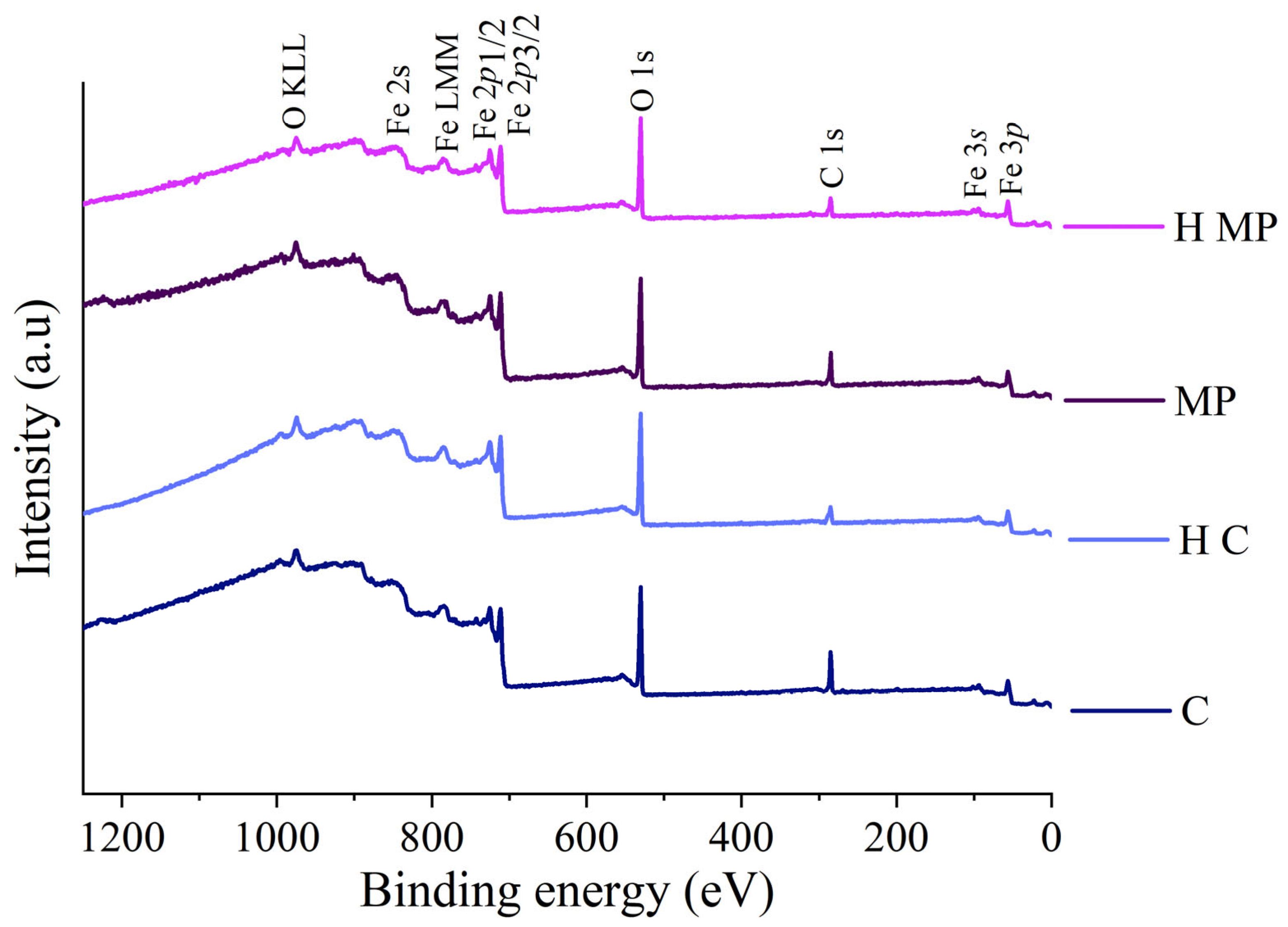 Coatings 15 00442 g004