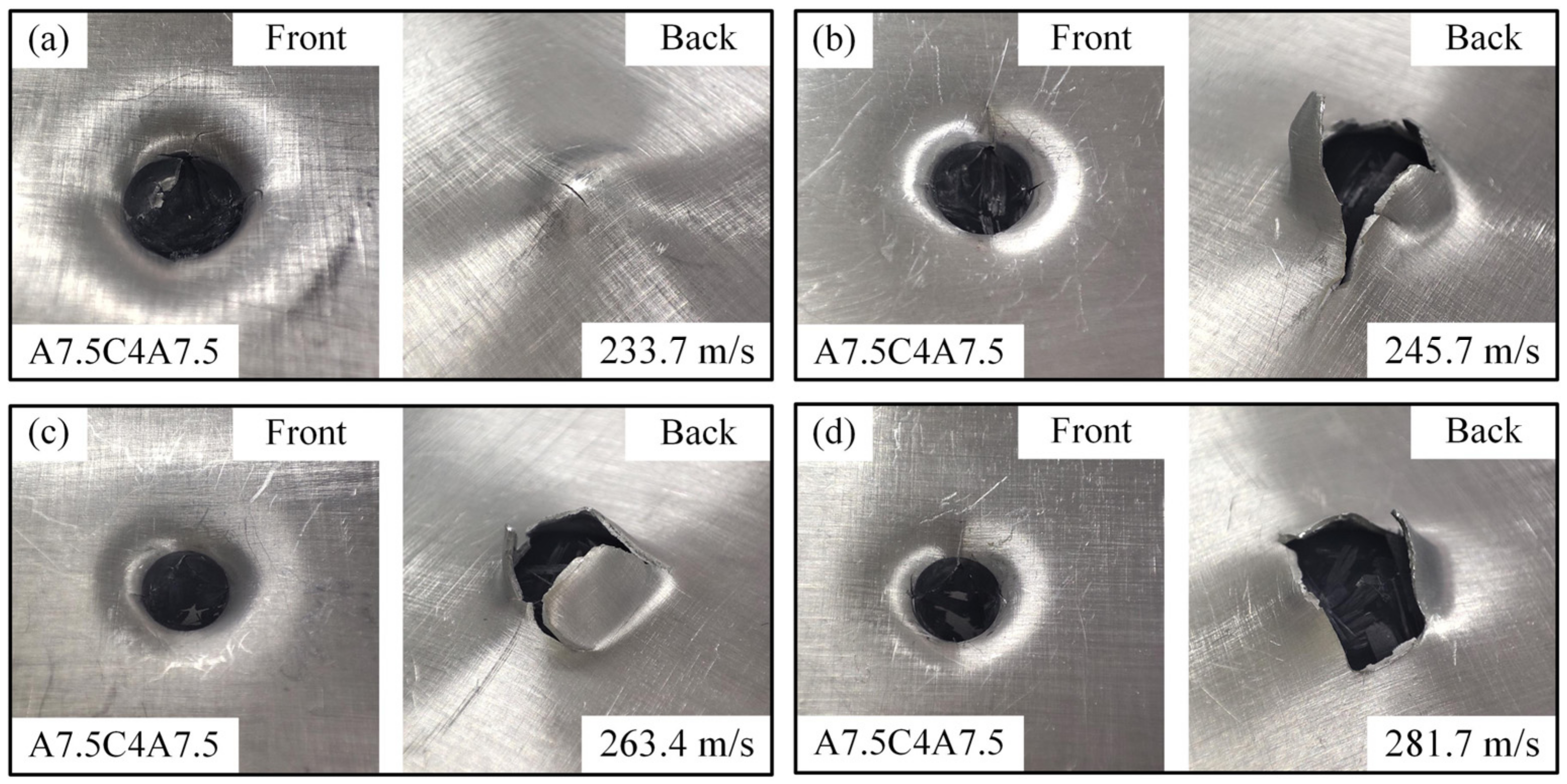 Coatings 15 00443 g010