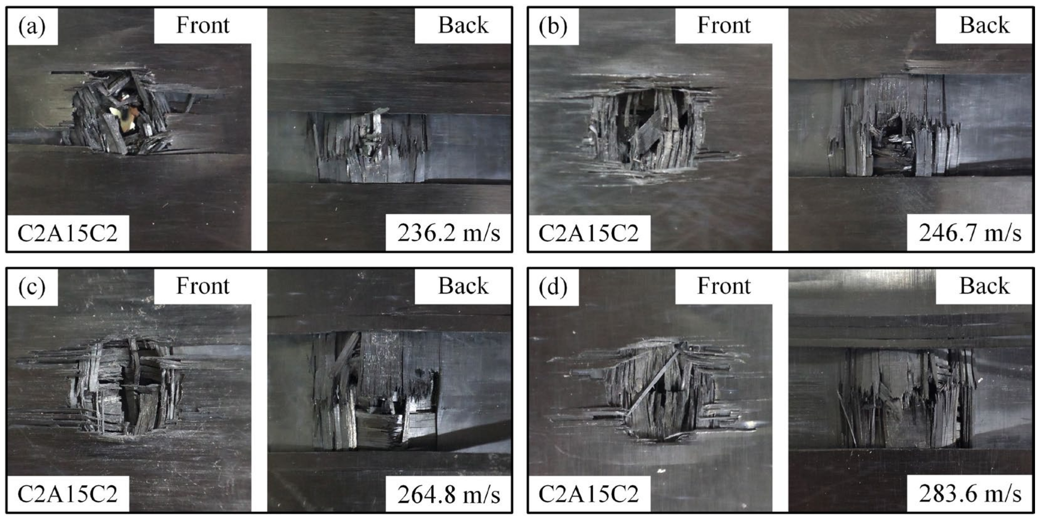 Coatings 15 00443 g012