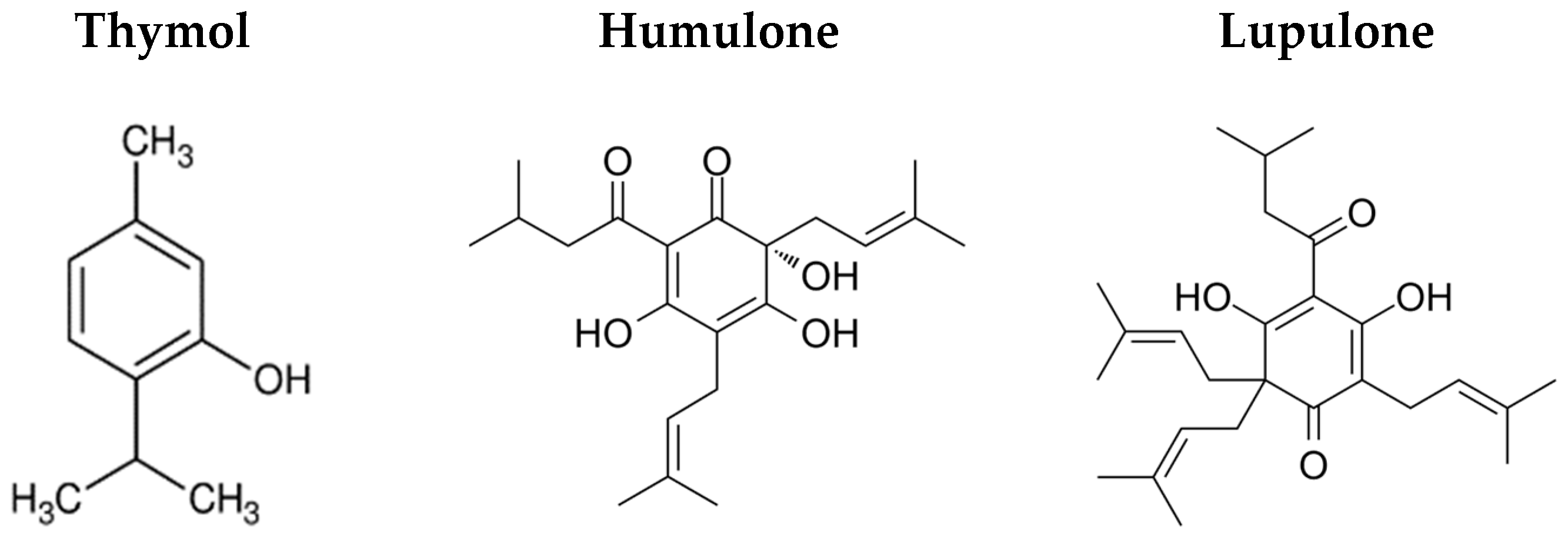 Coatings 15 00445 g001