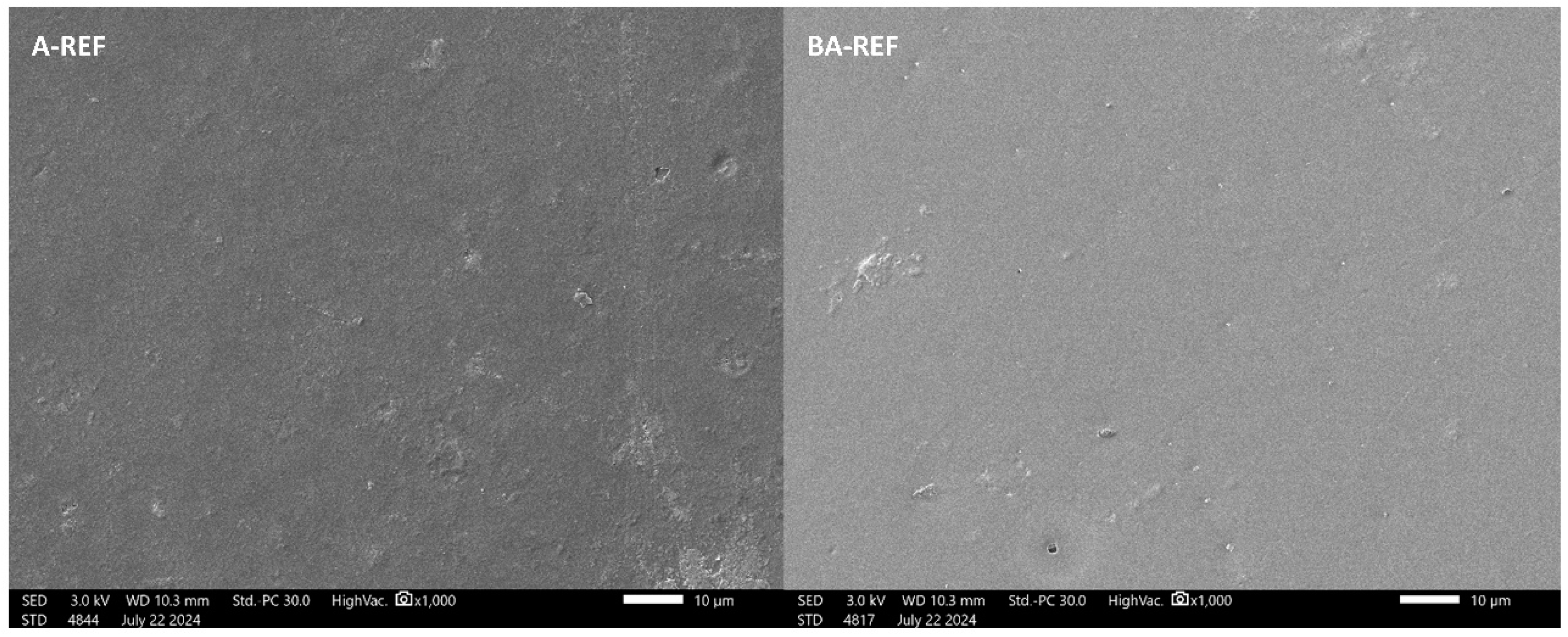 Coatings 15 00445 g003