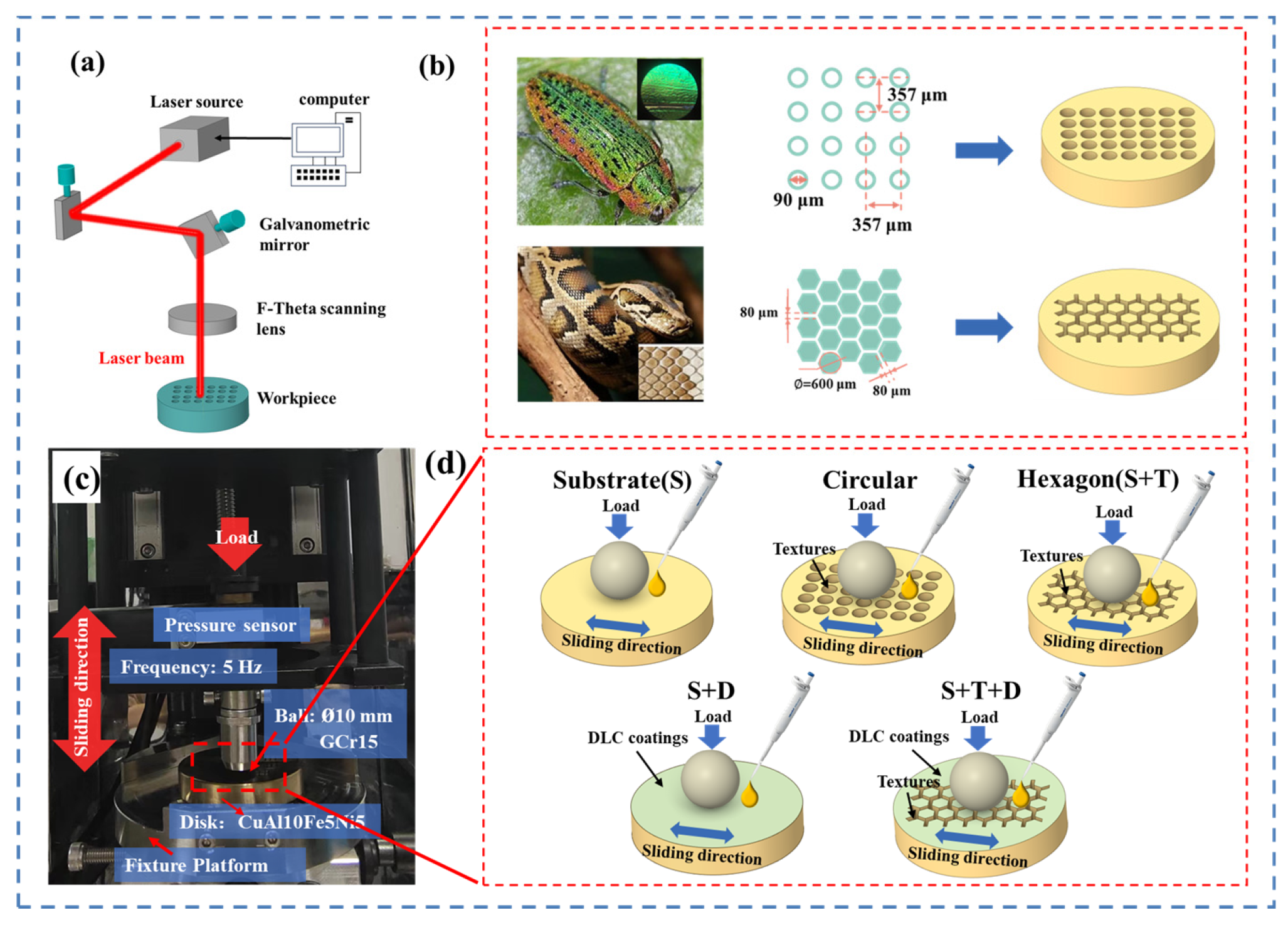 Coatings 15 00446 g001