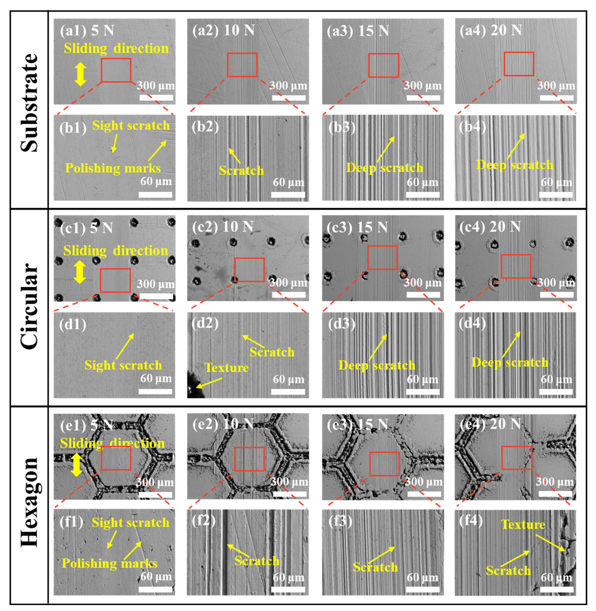 Coatings 15 00446 g006