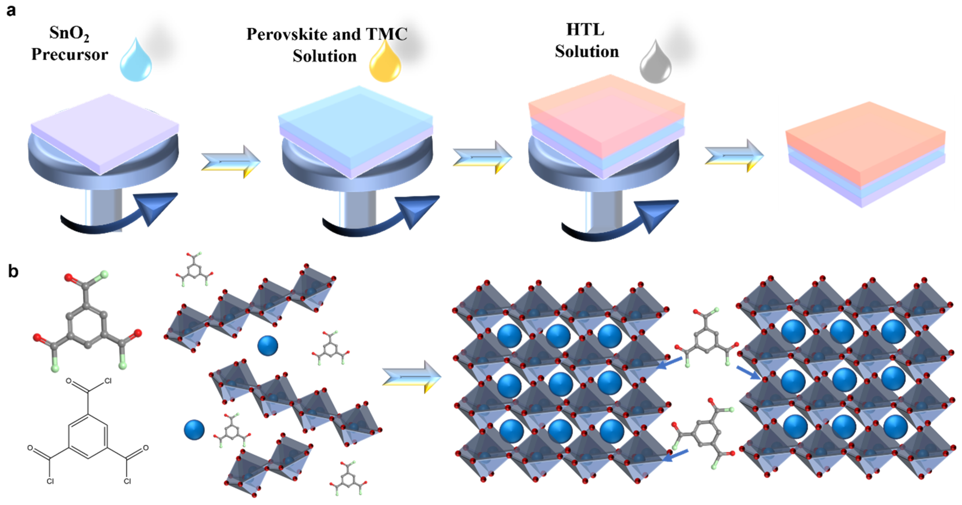 Coatings 15 00448 g002
