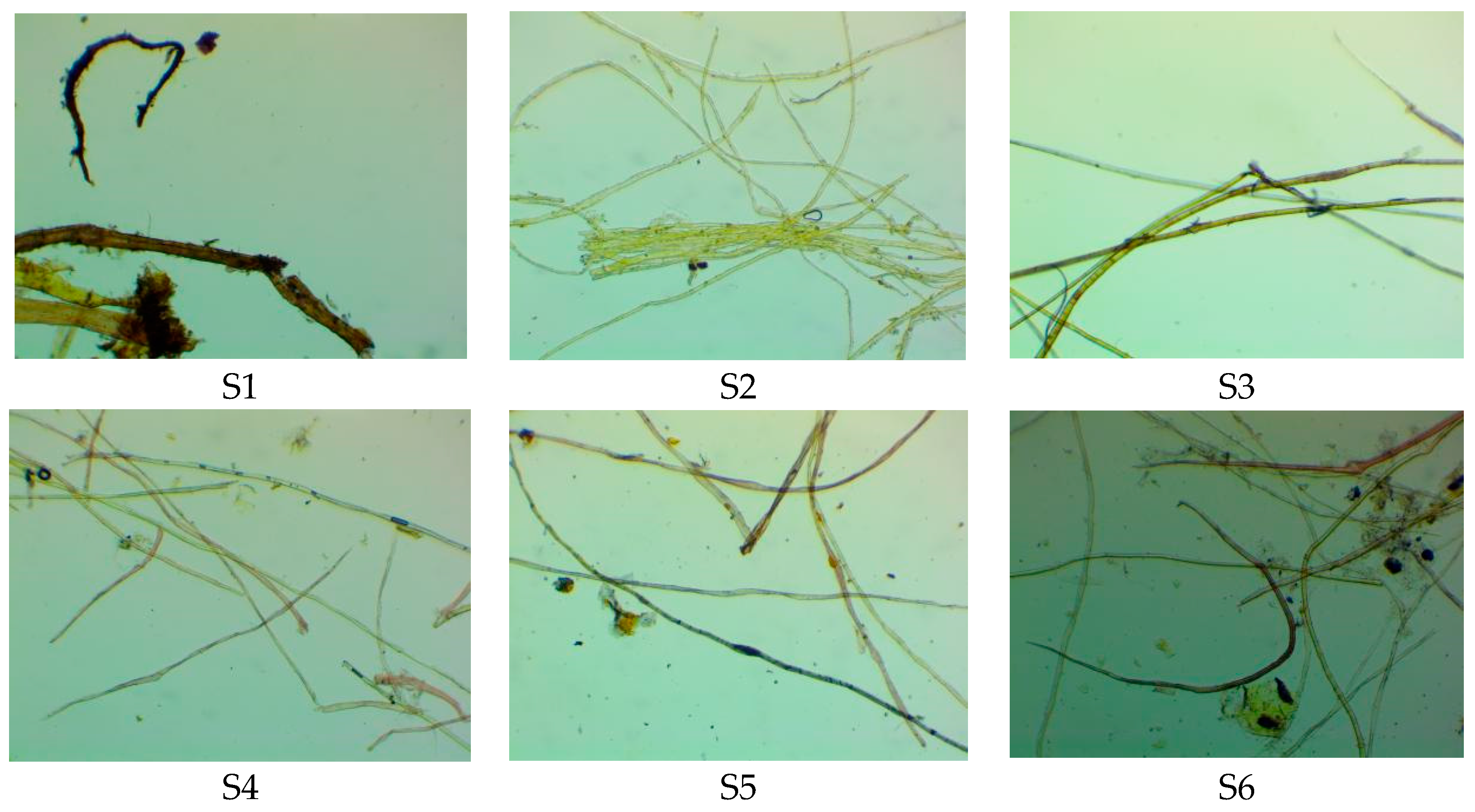 Coatings 15 00449 g002