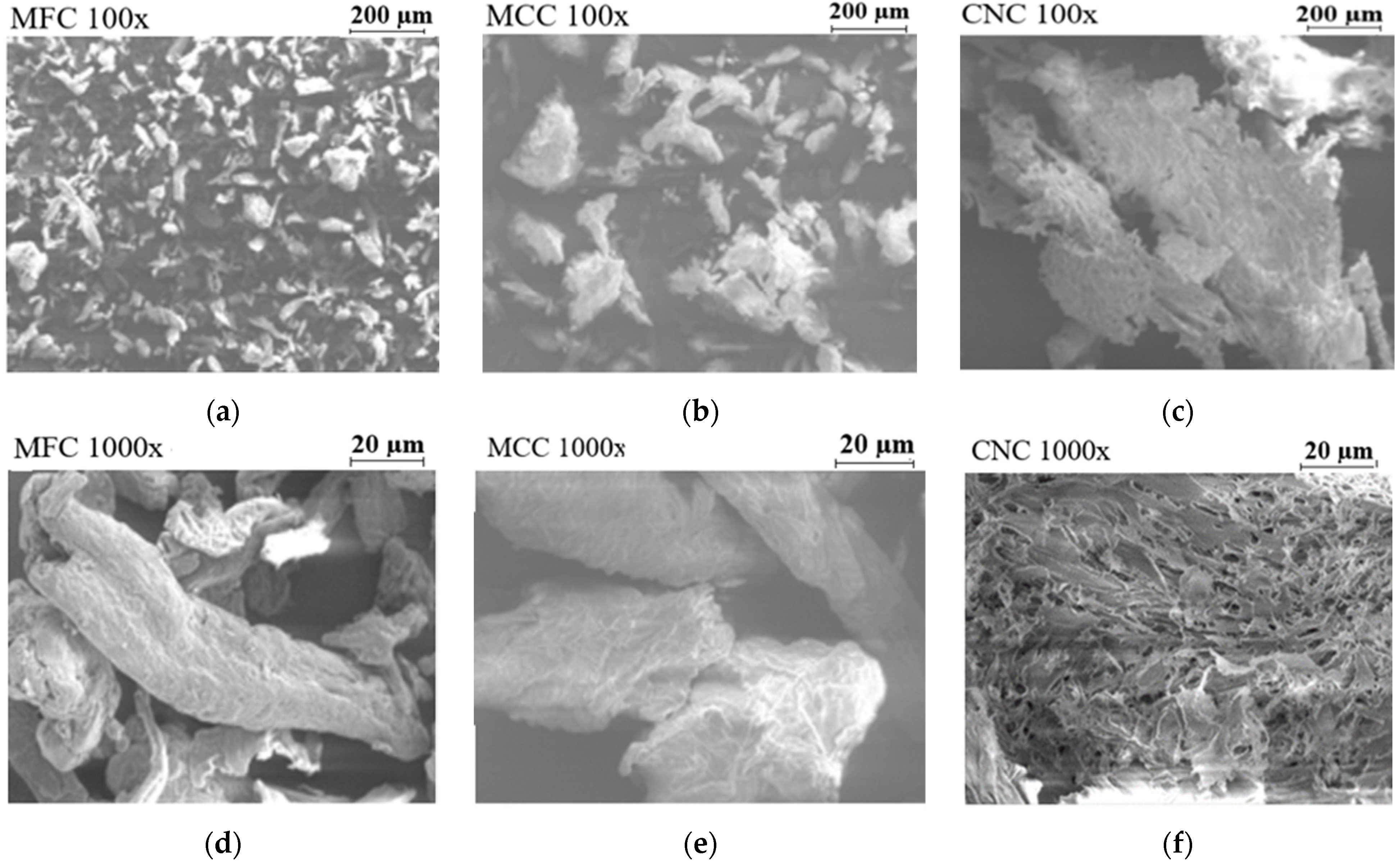 Coatings 15 00452 g001