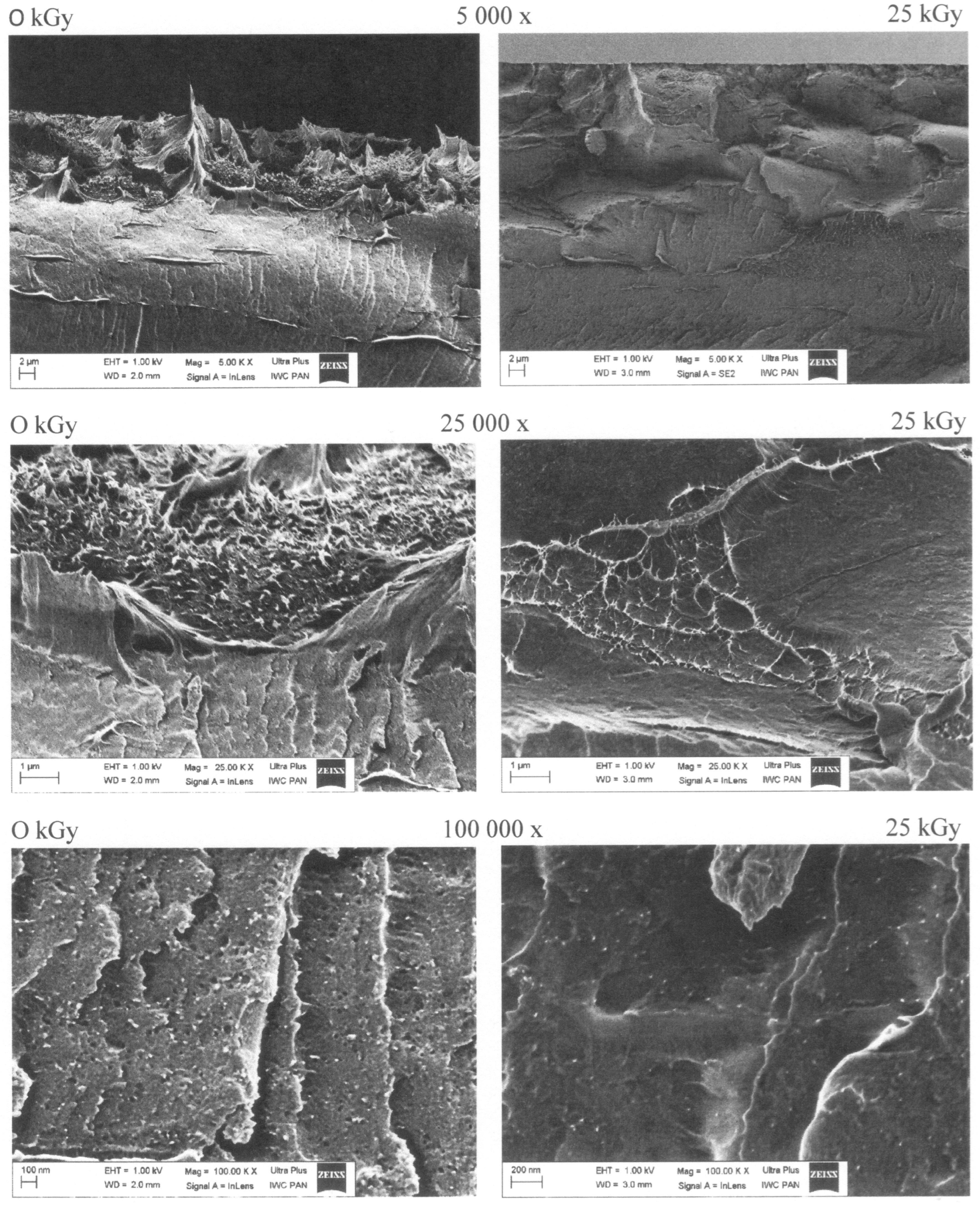 Coatings 15 00452 g010