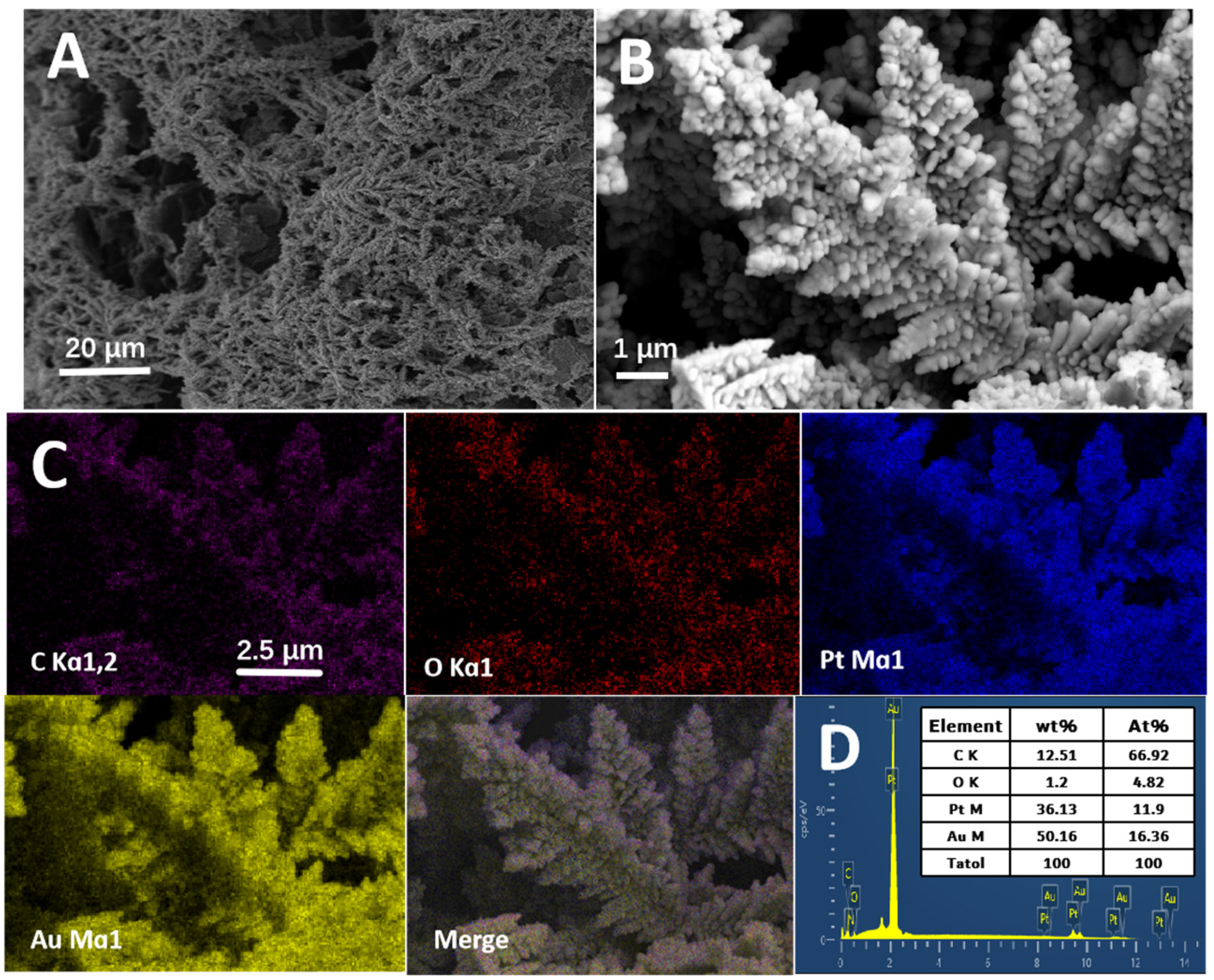 Coatings 15 00458 g003