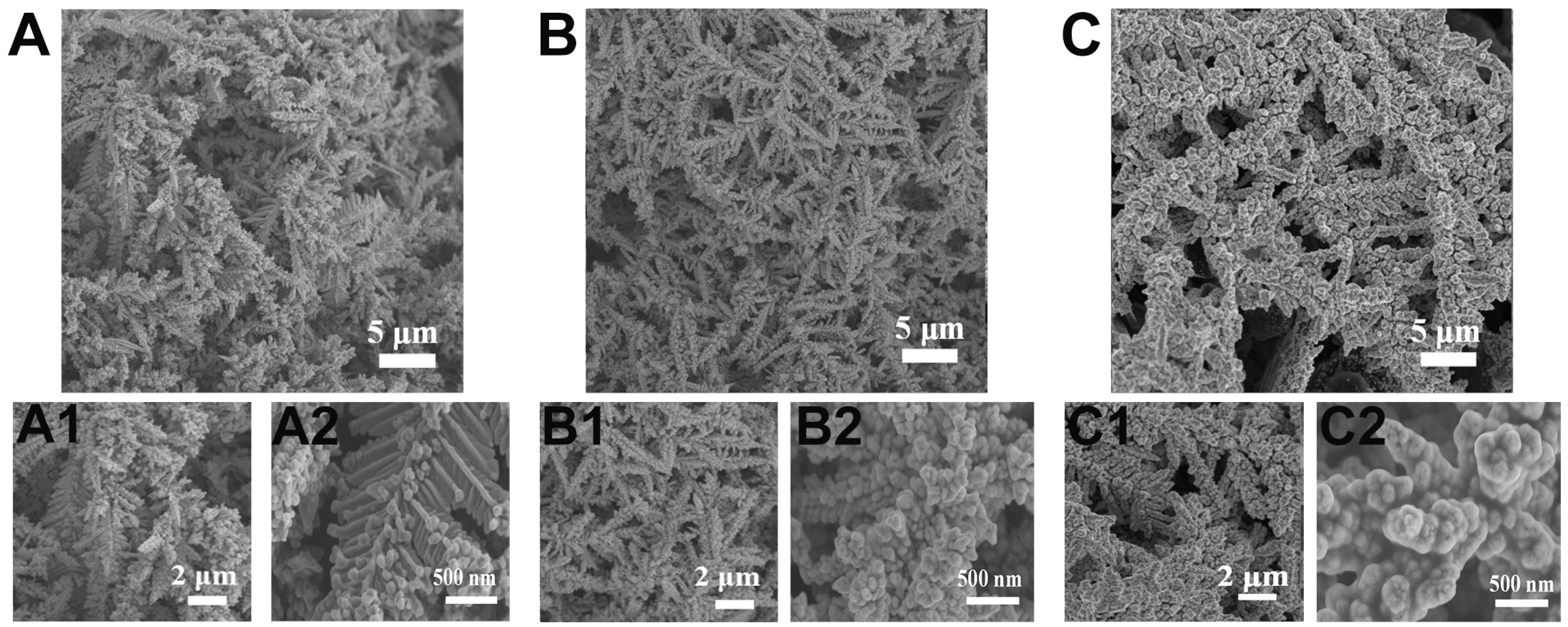 Coatings 15 00458 g006