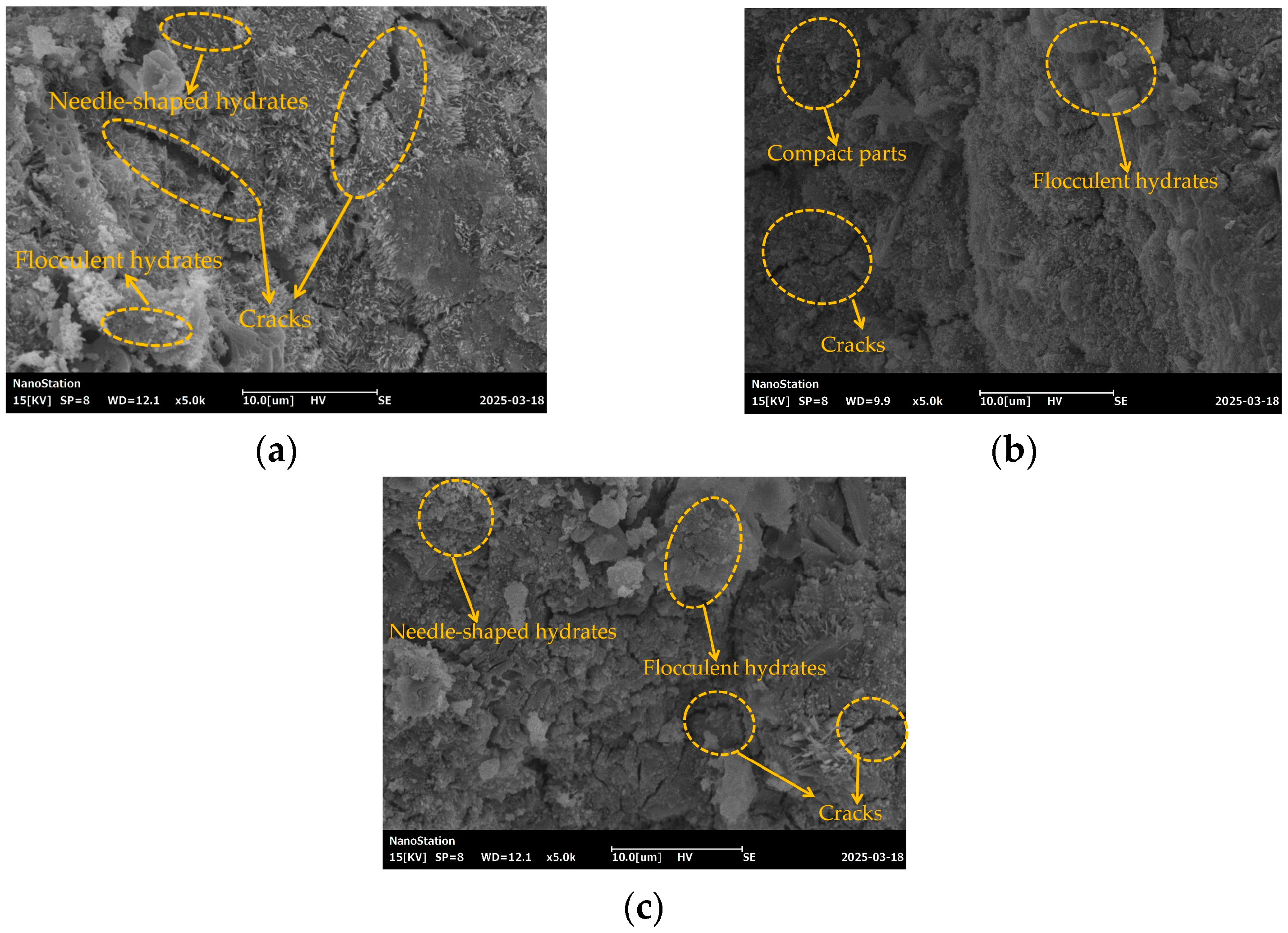 Coatings 15 00459 g013