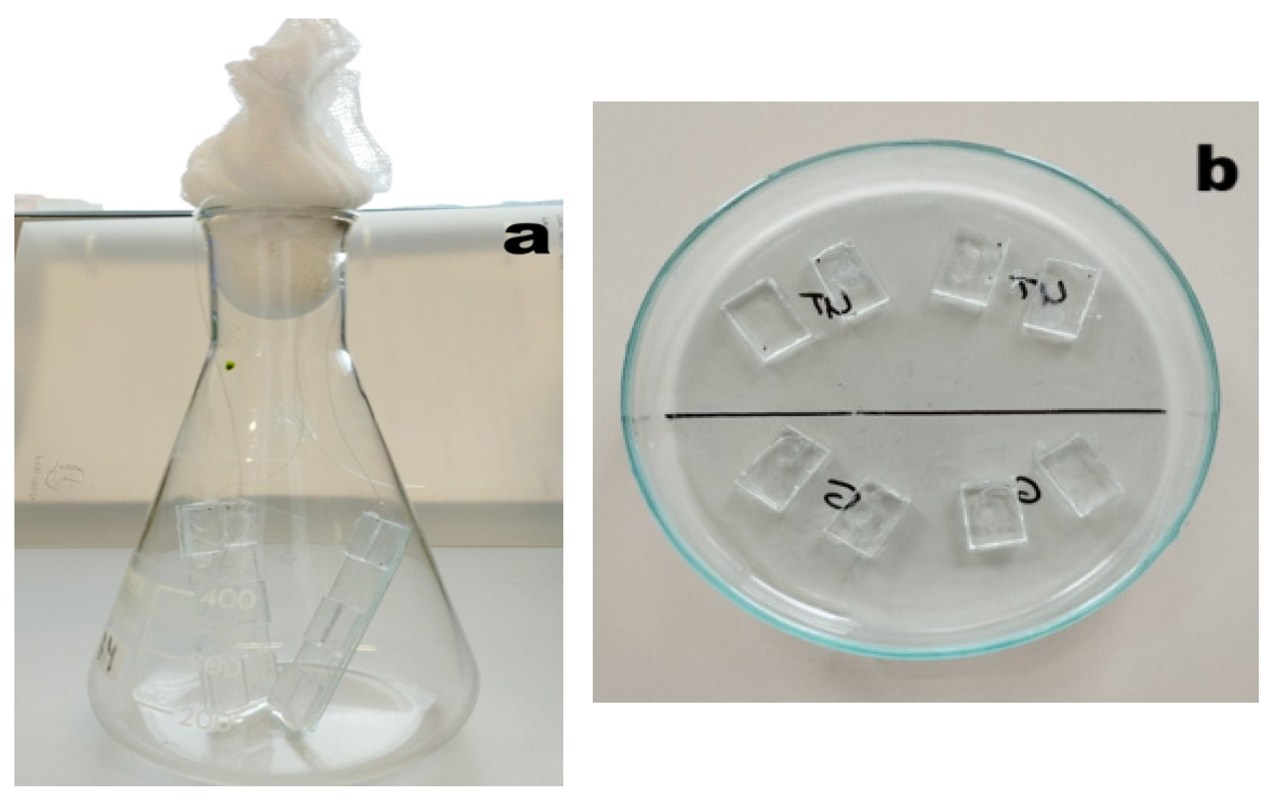 Coatings 15 00462 g002