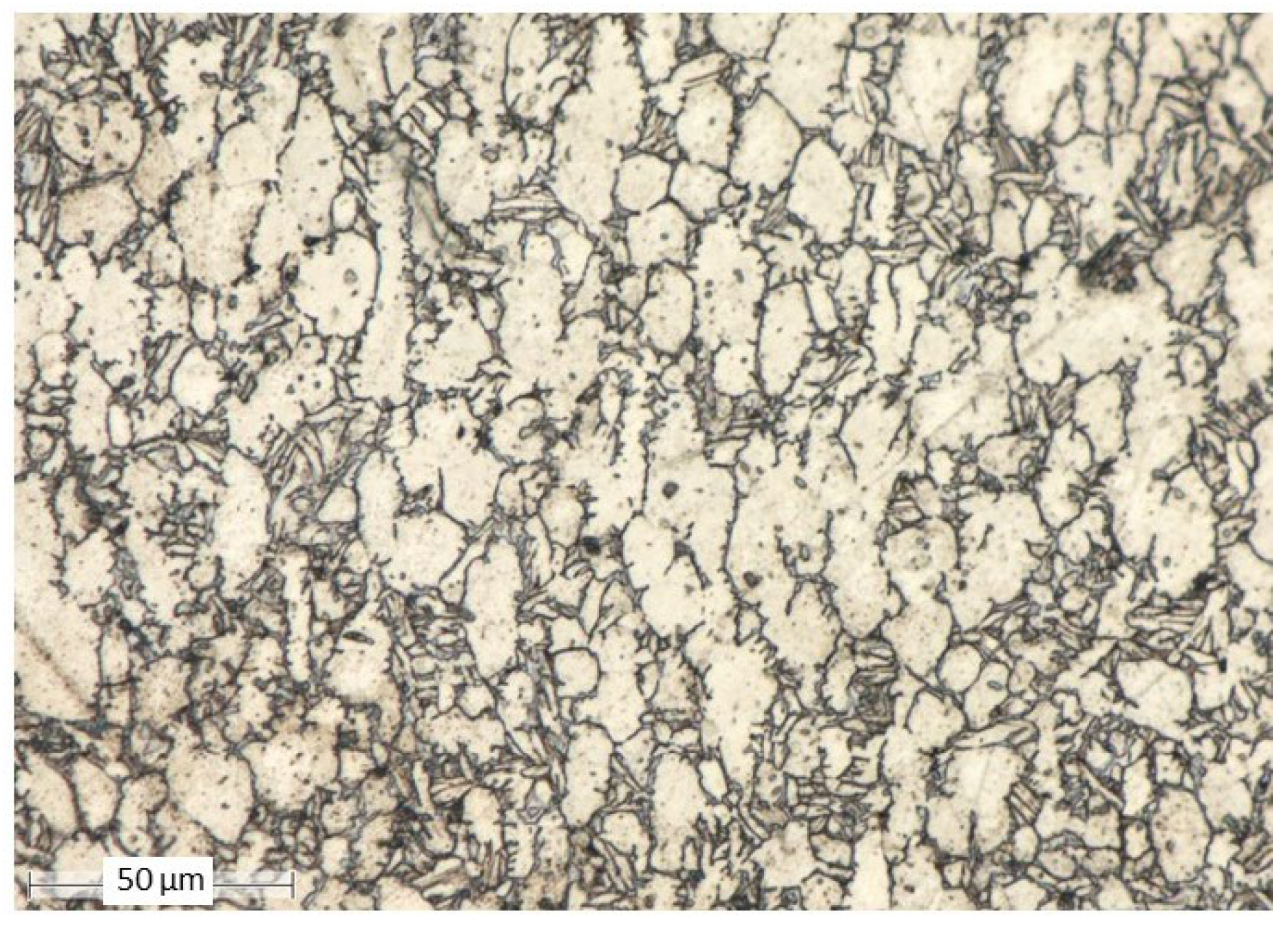 Coatings 15 00464 g001