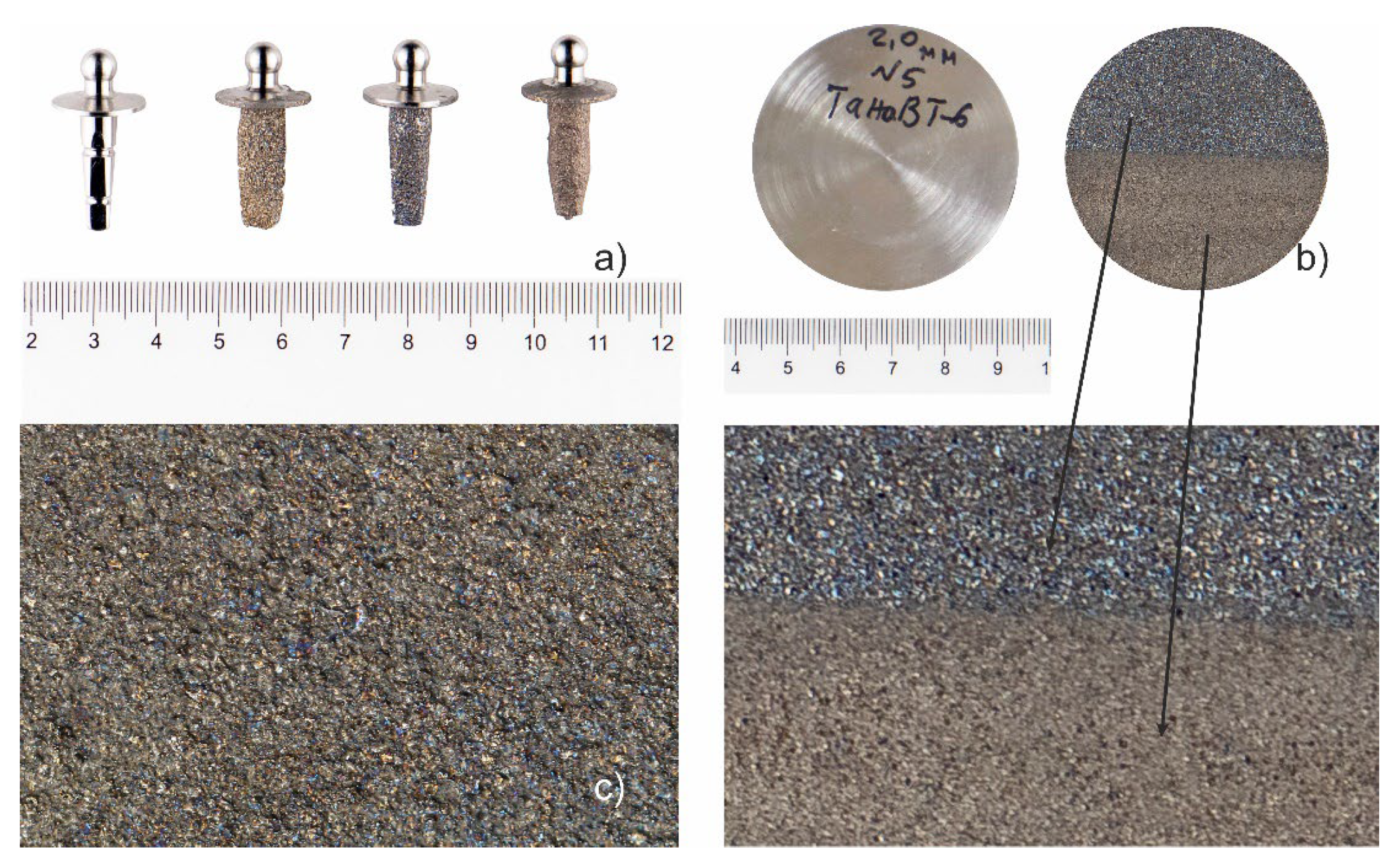 Coatings 15 00464 g007