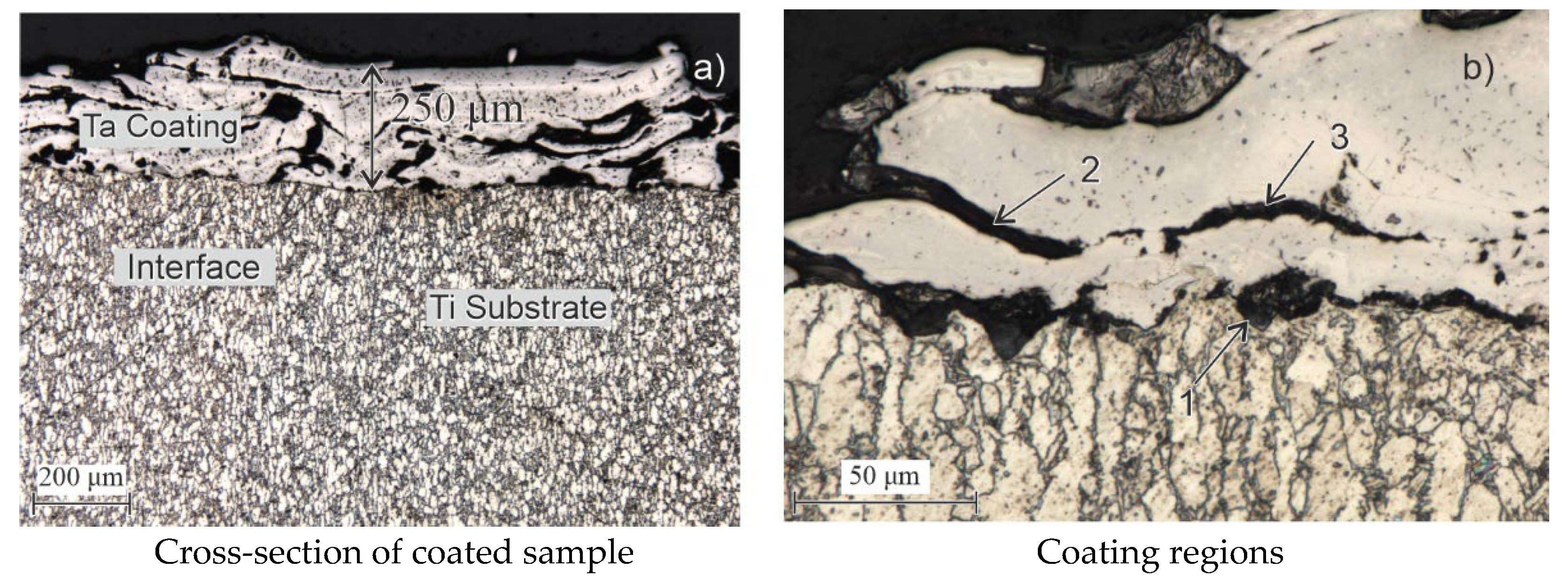 Coatings 15 00464 g008