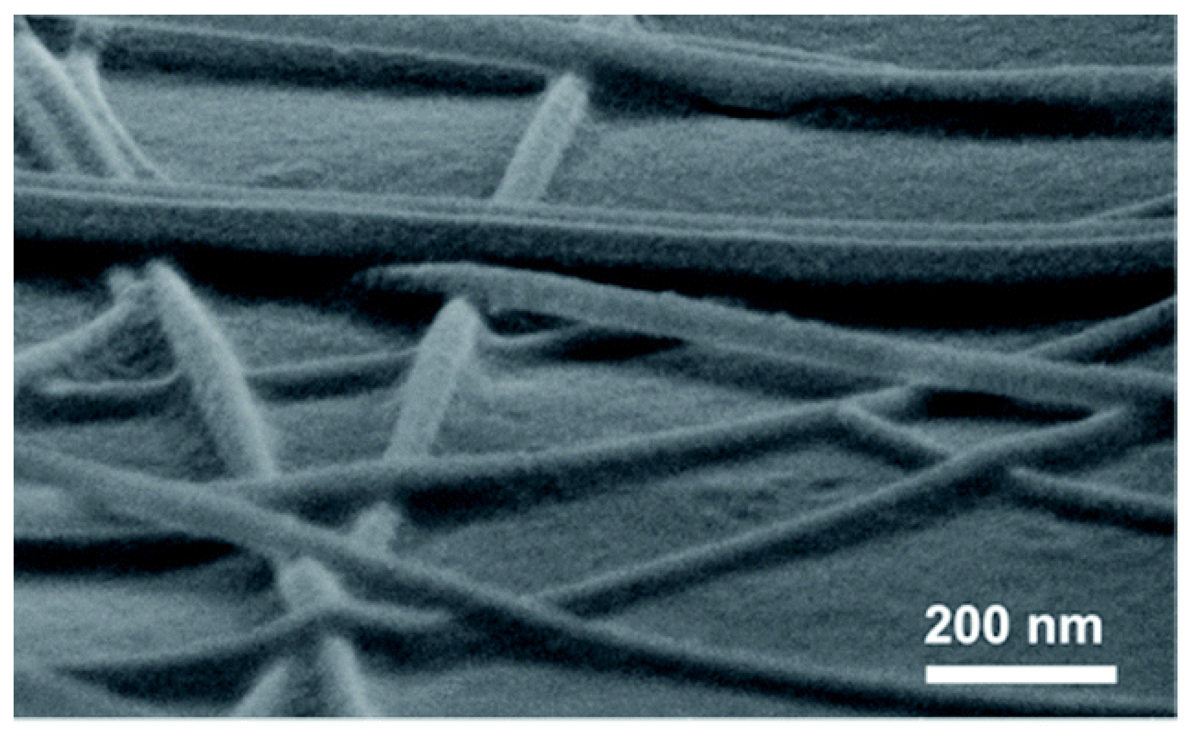 Coatings 15 00465 g007