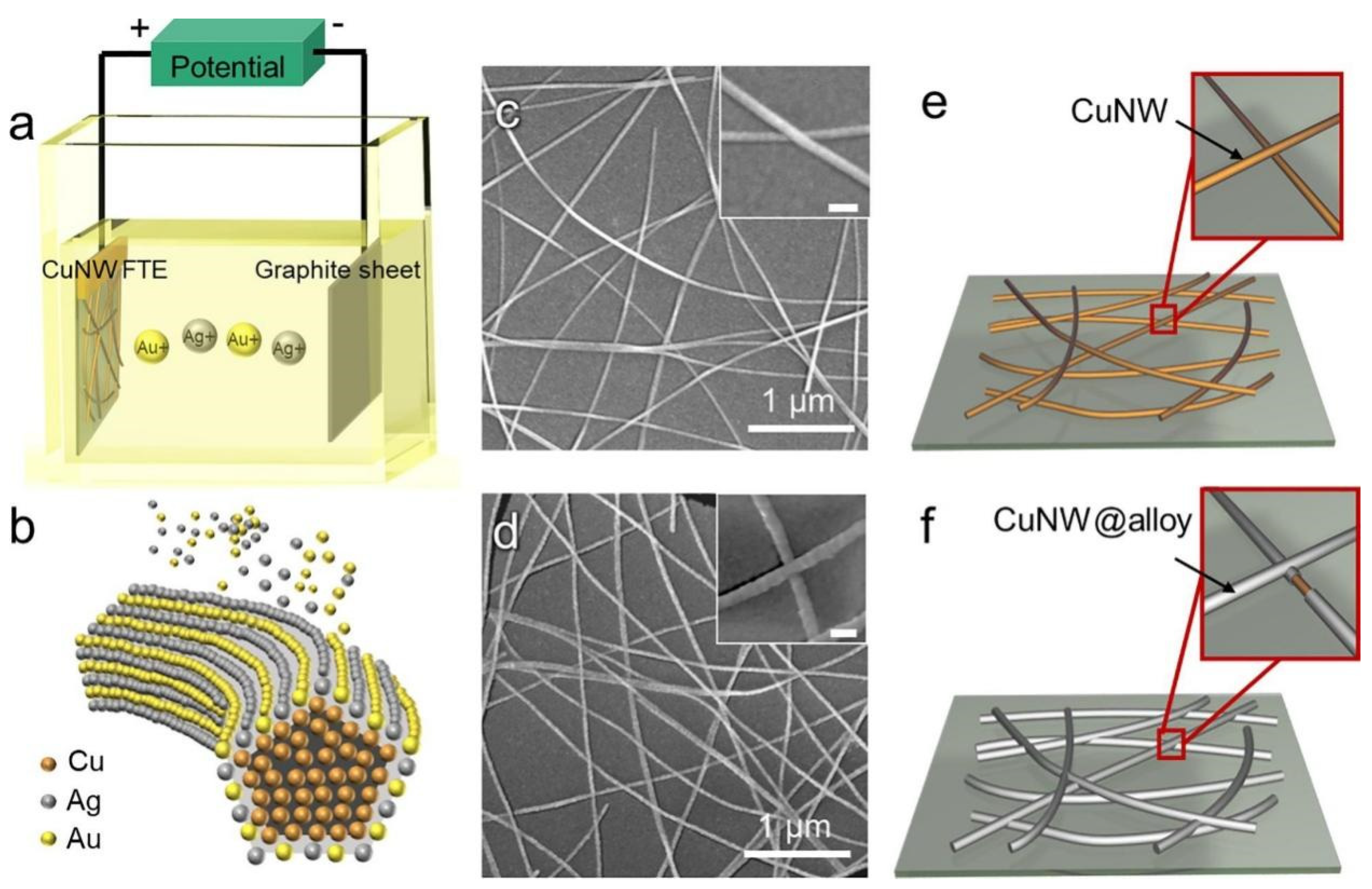 Coatings 15 00465 g009