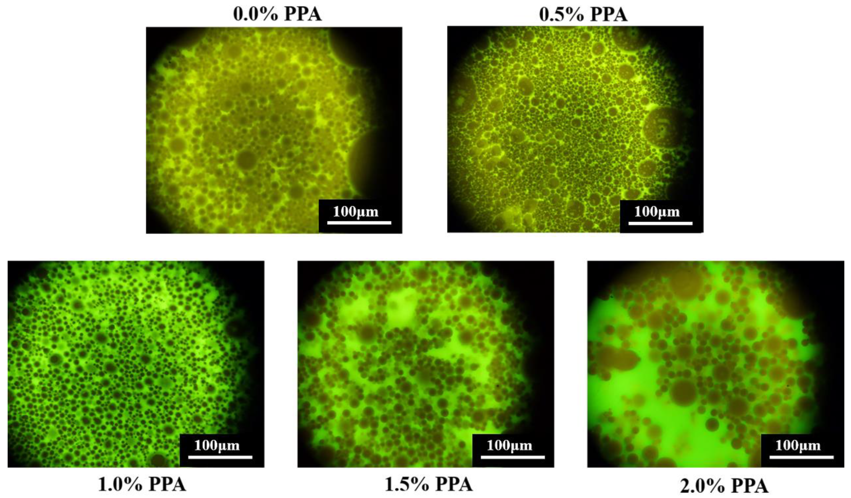 Coatings 15 00471 g013