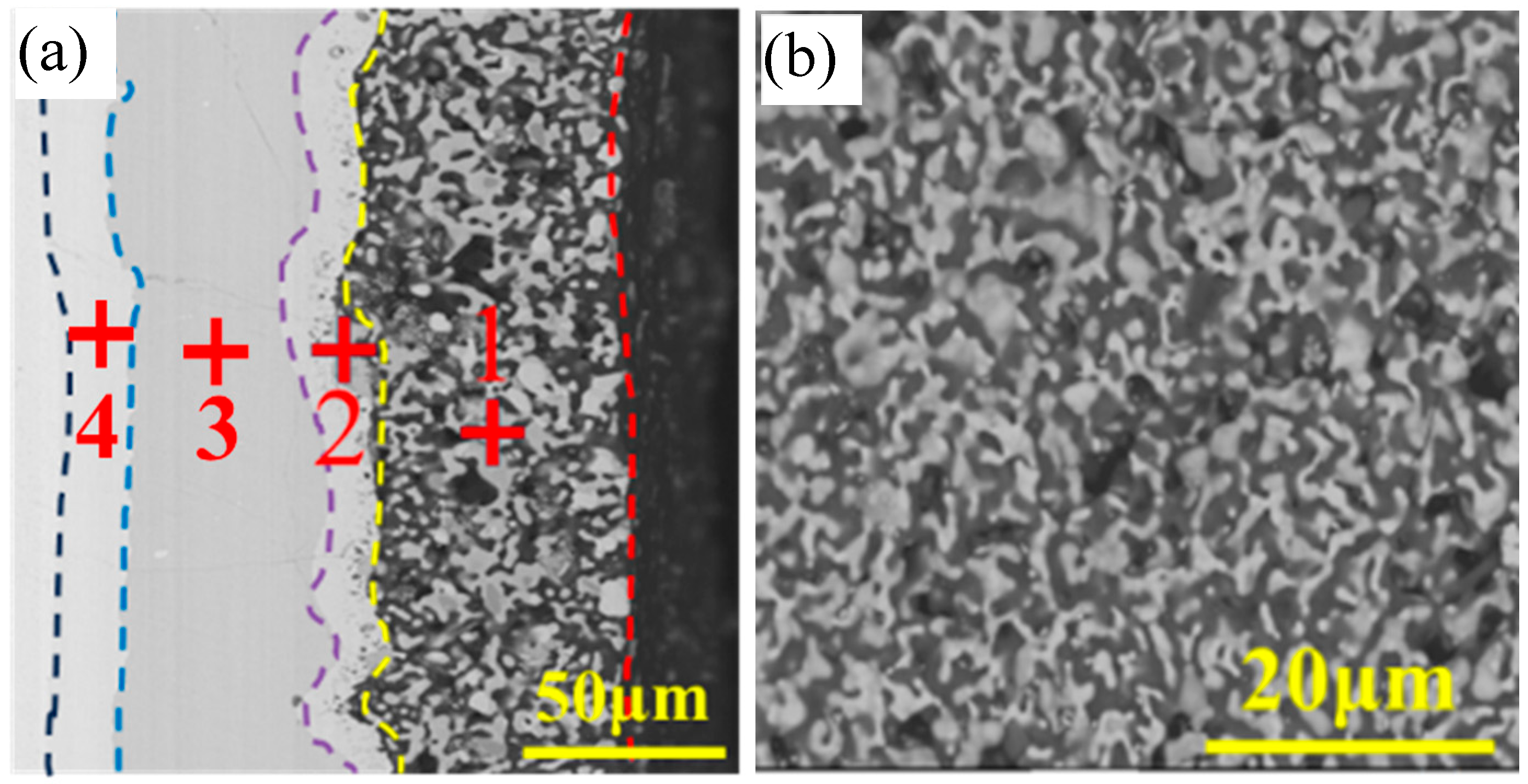 Coatings 15 00476 g005