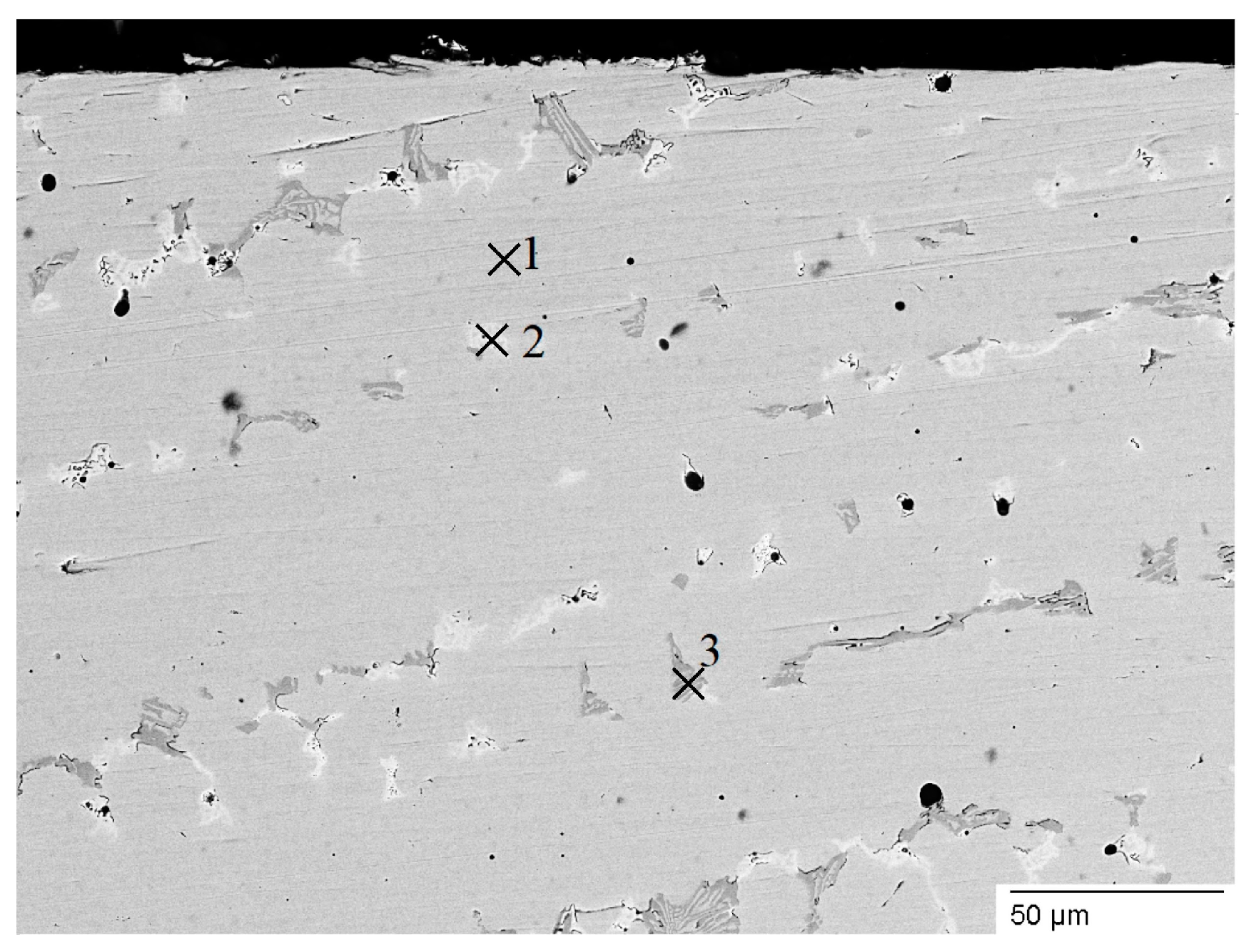 Coatings 15 00477 g004