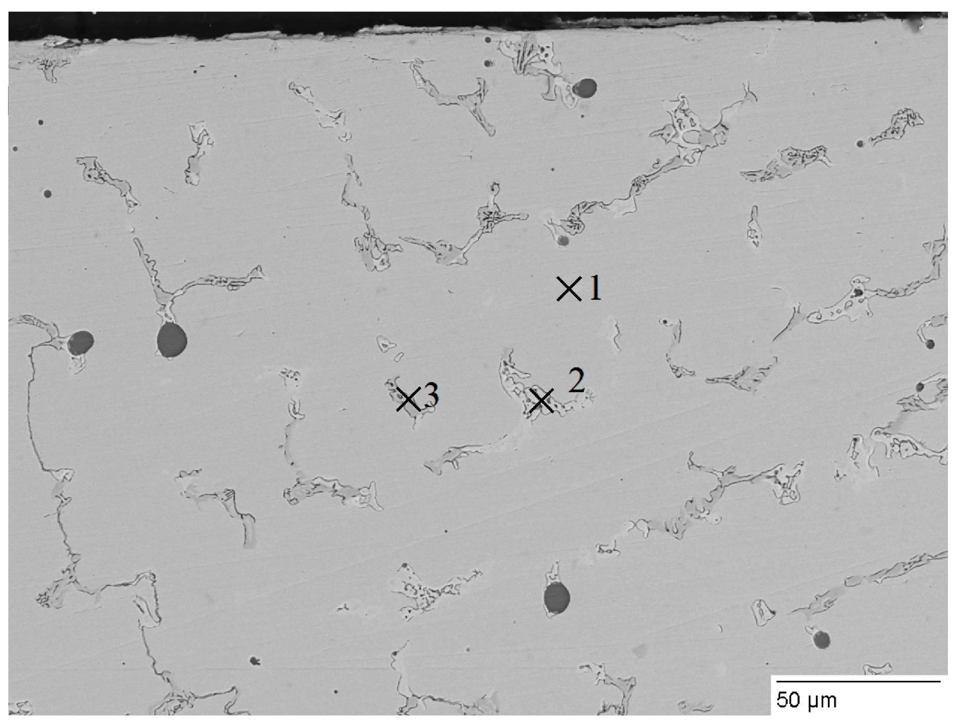 Coatings 15 00477 g005