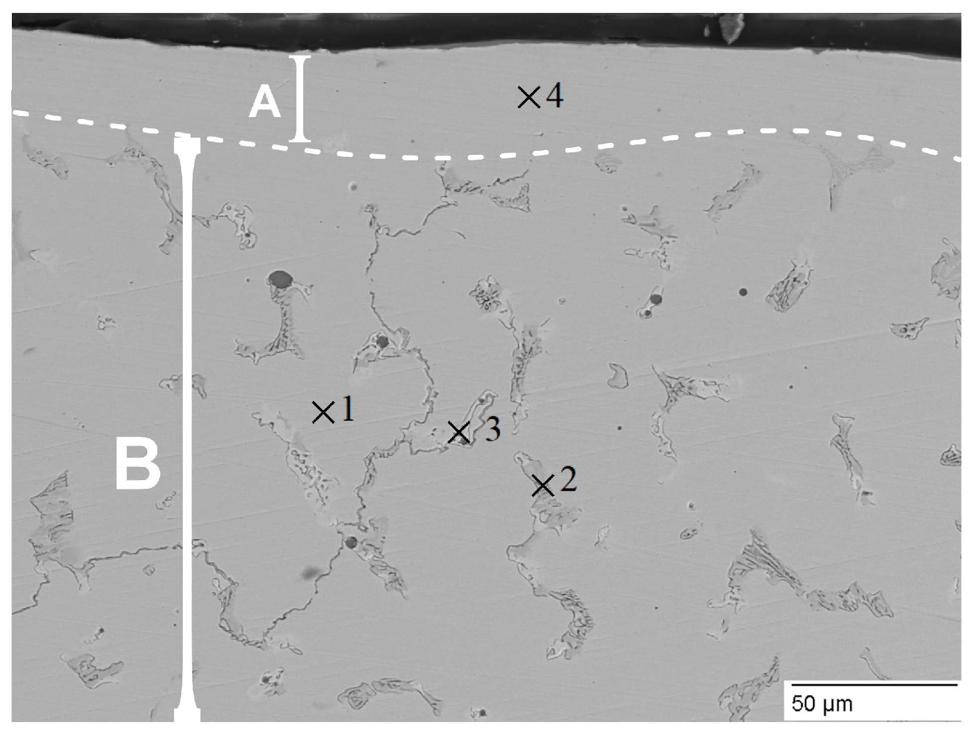 Coatings 15 00477 g006