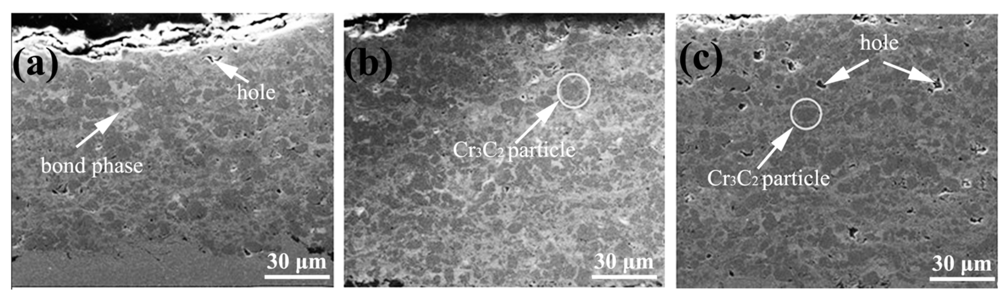 Coatings 15 00479 g008