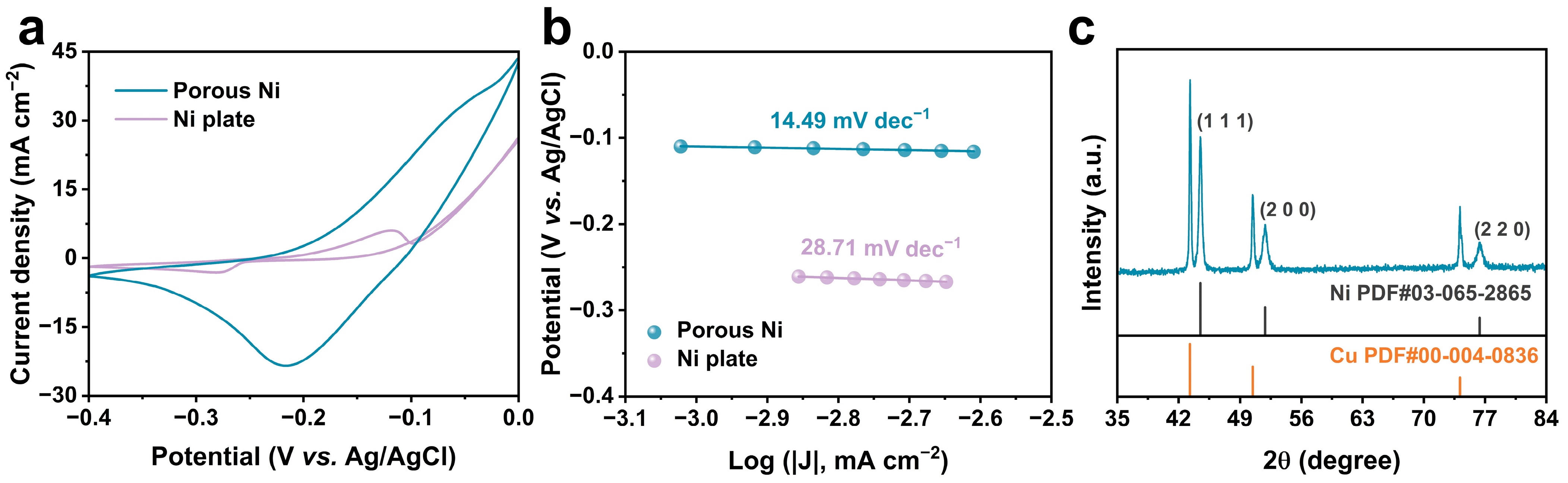 Coatings 15 00480 g004