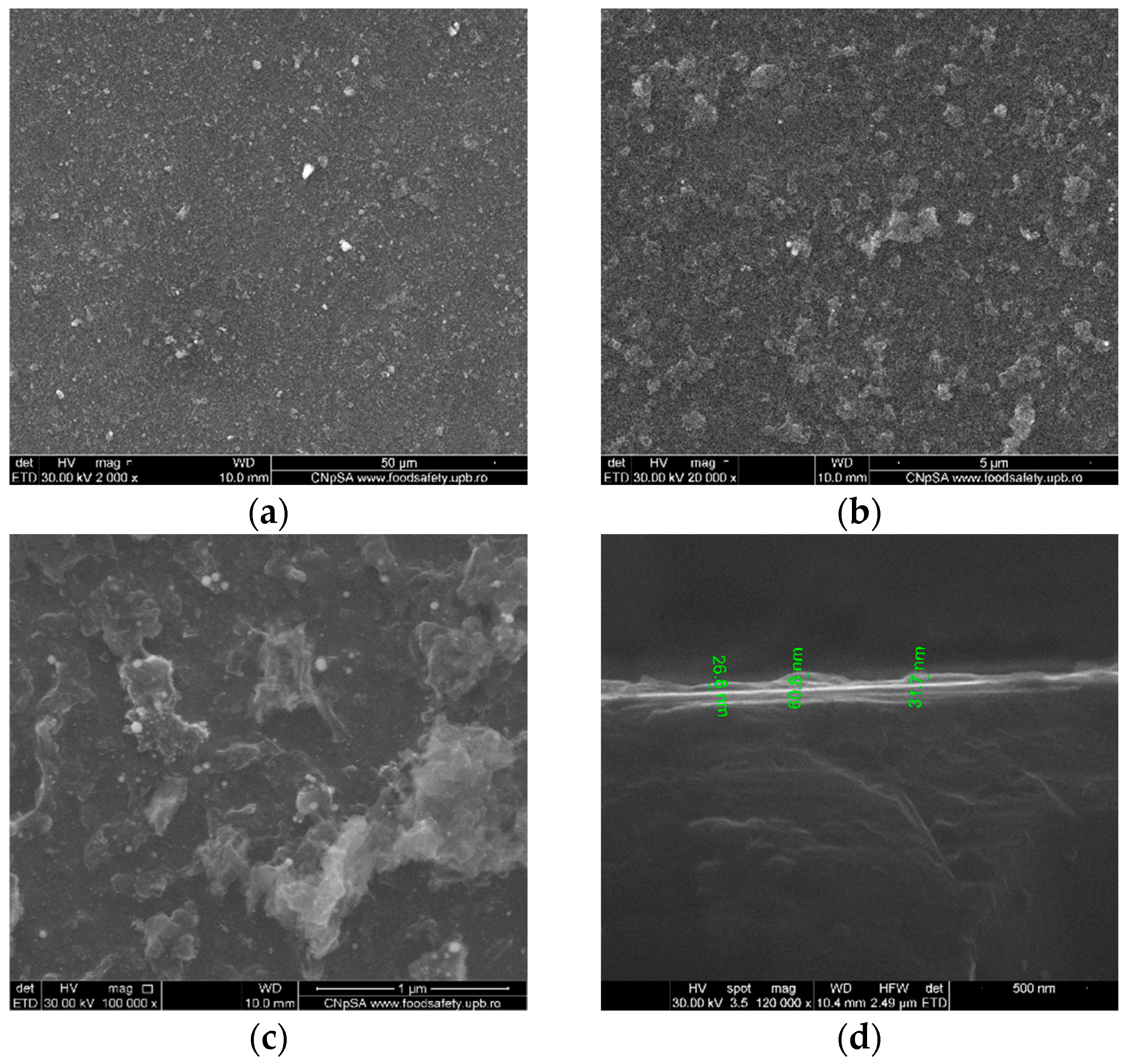 Coatings 15 00489 g007