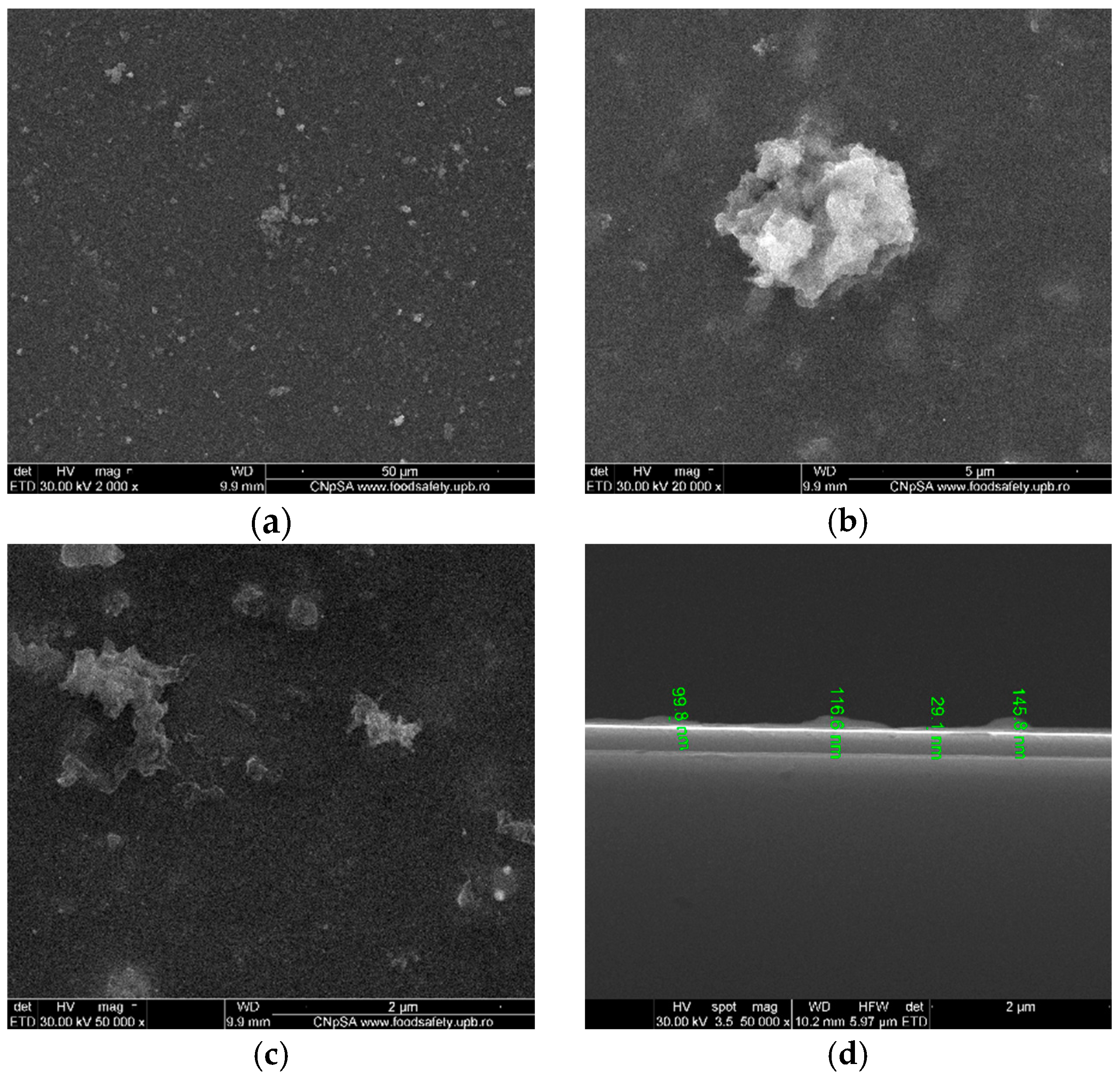 Coatings 15 00489 g008