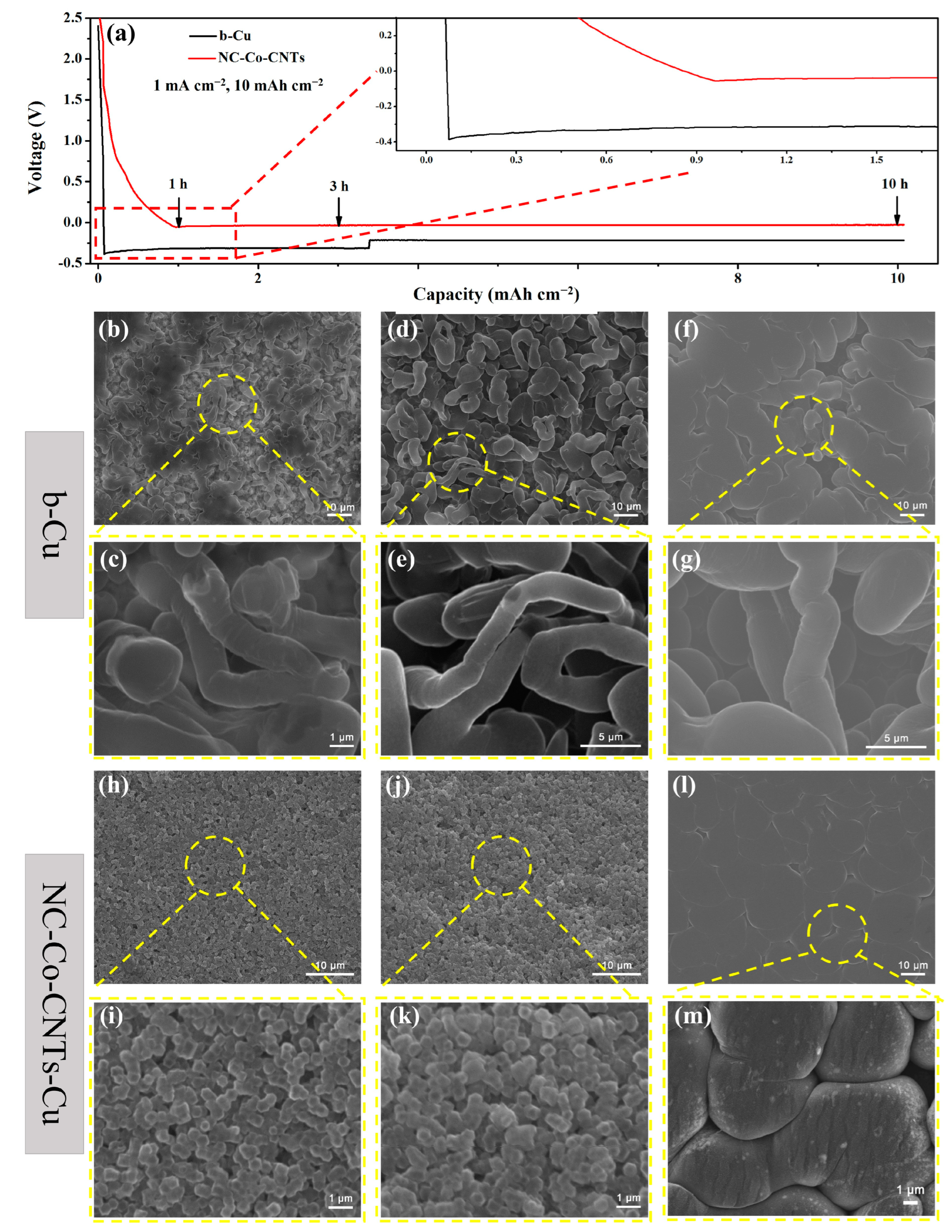 Coatings 15 00490 g004