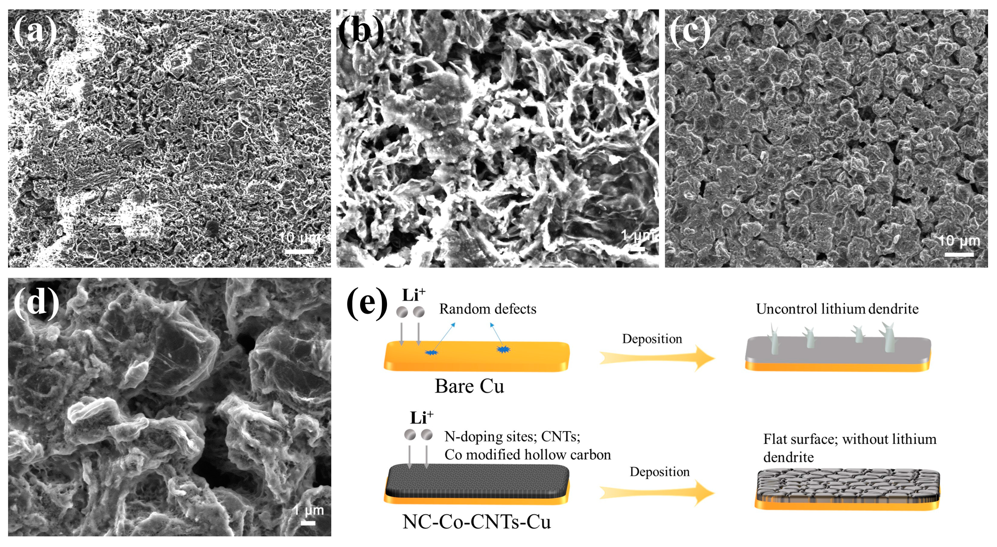 Coatings 15 00490 g006