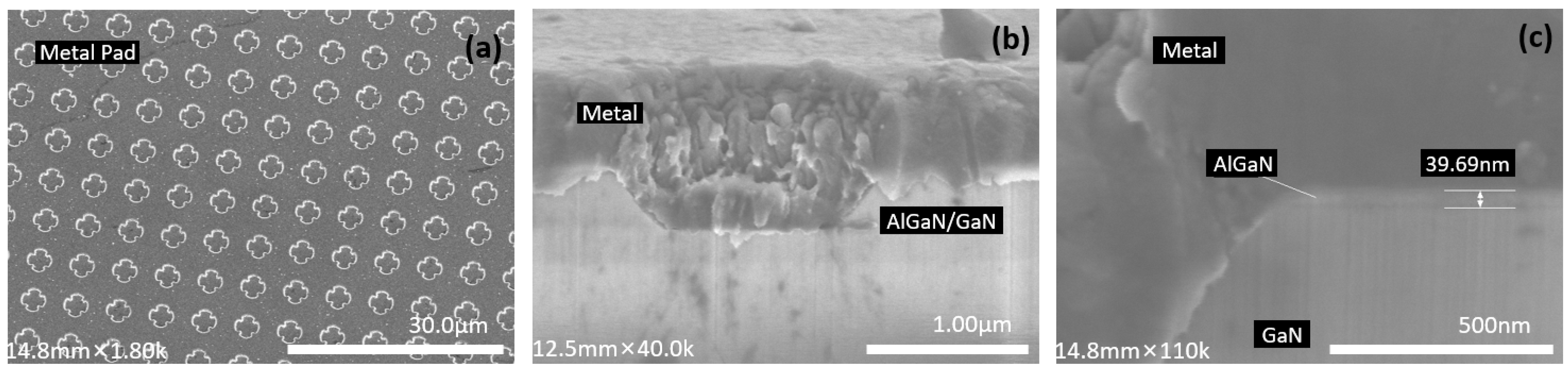 Coatings 15 00491 g004