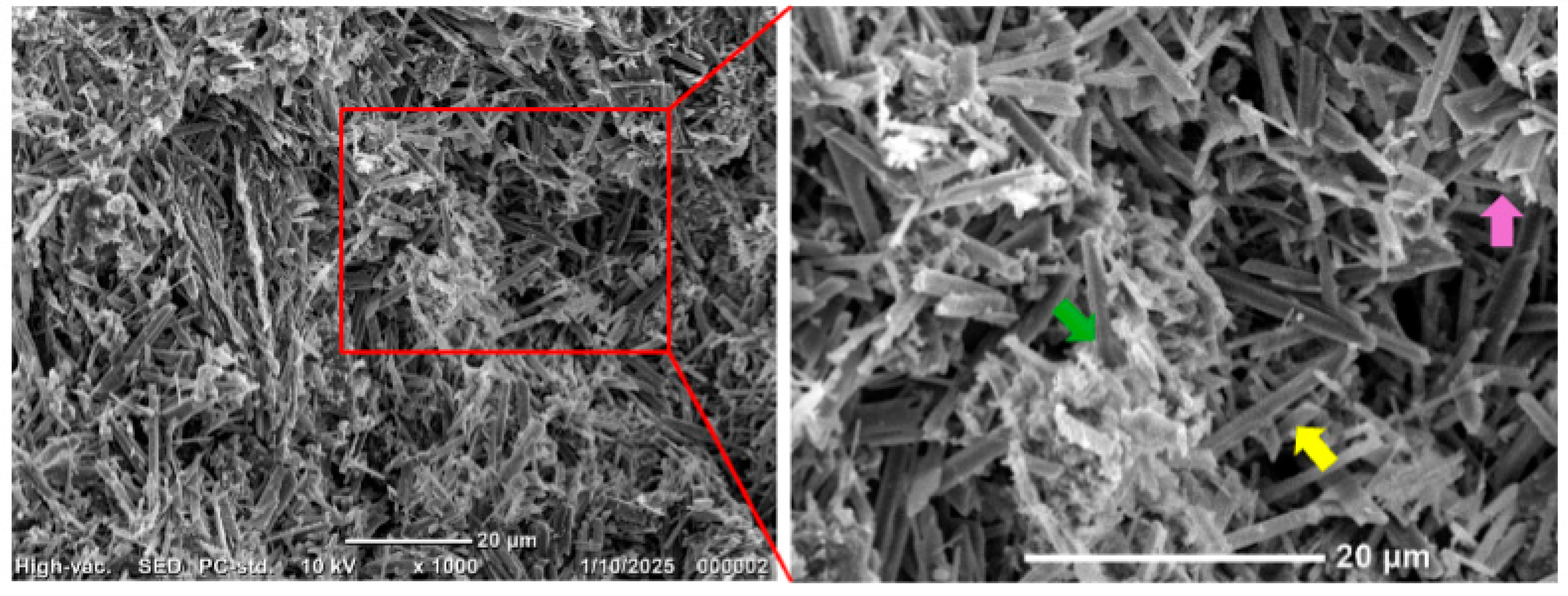 Coatings 15 00492 g004