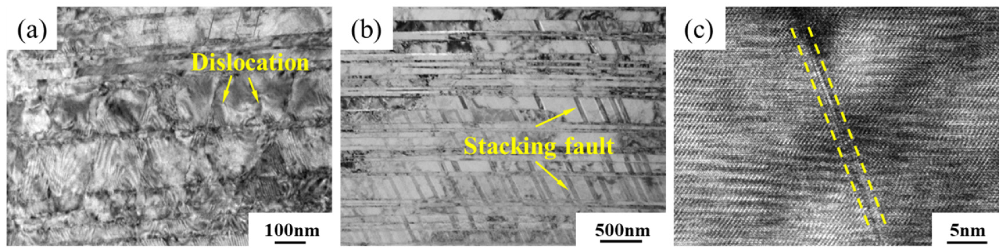Coatings 15 00495 g011