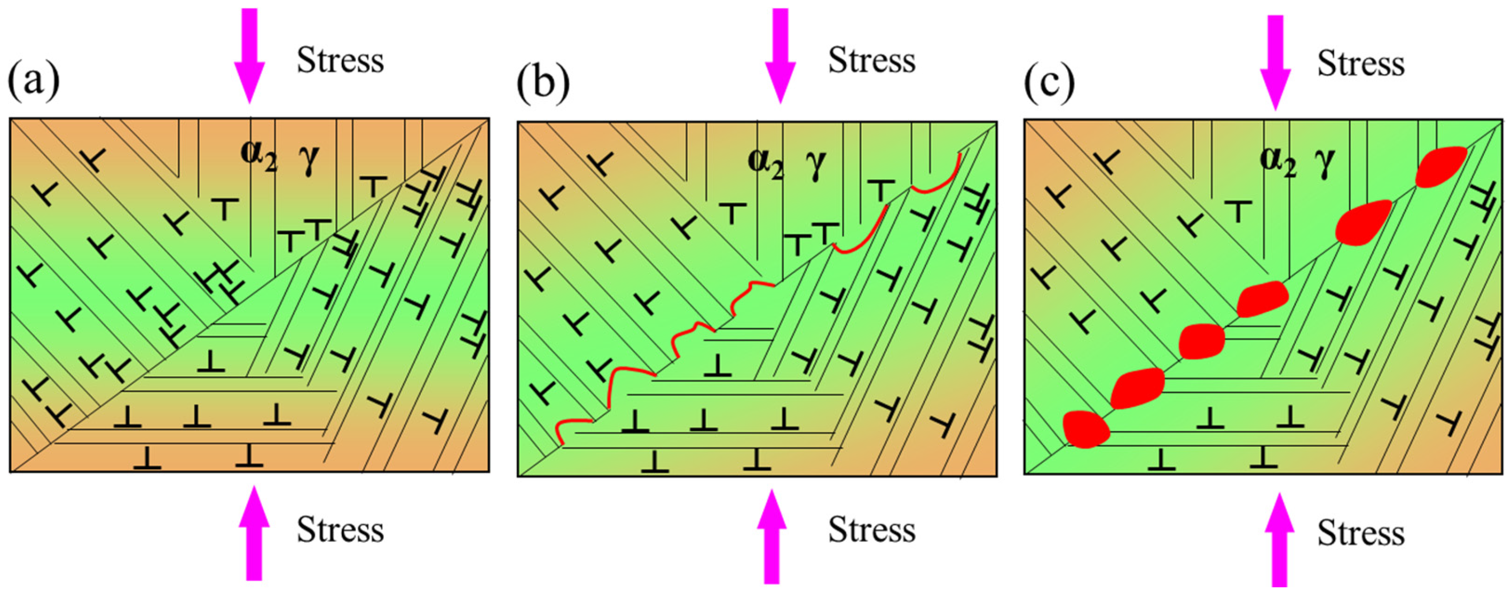 Coatings 15 00495 g015