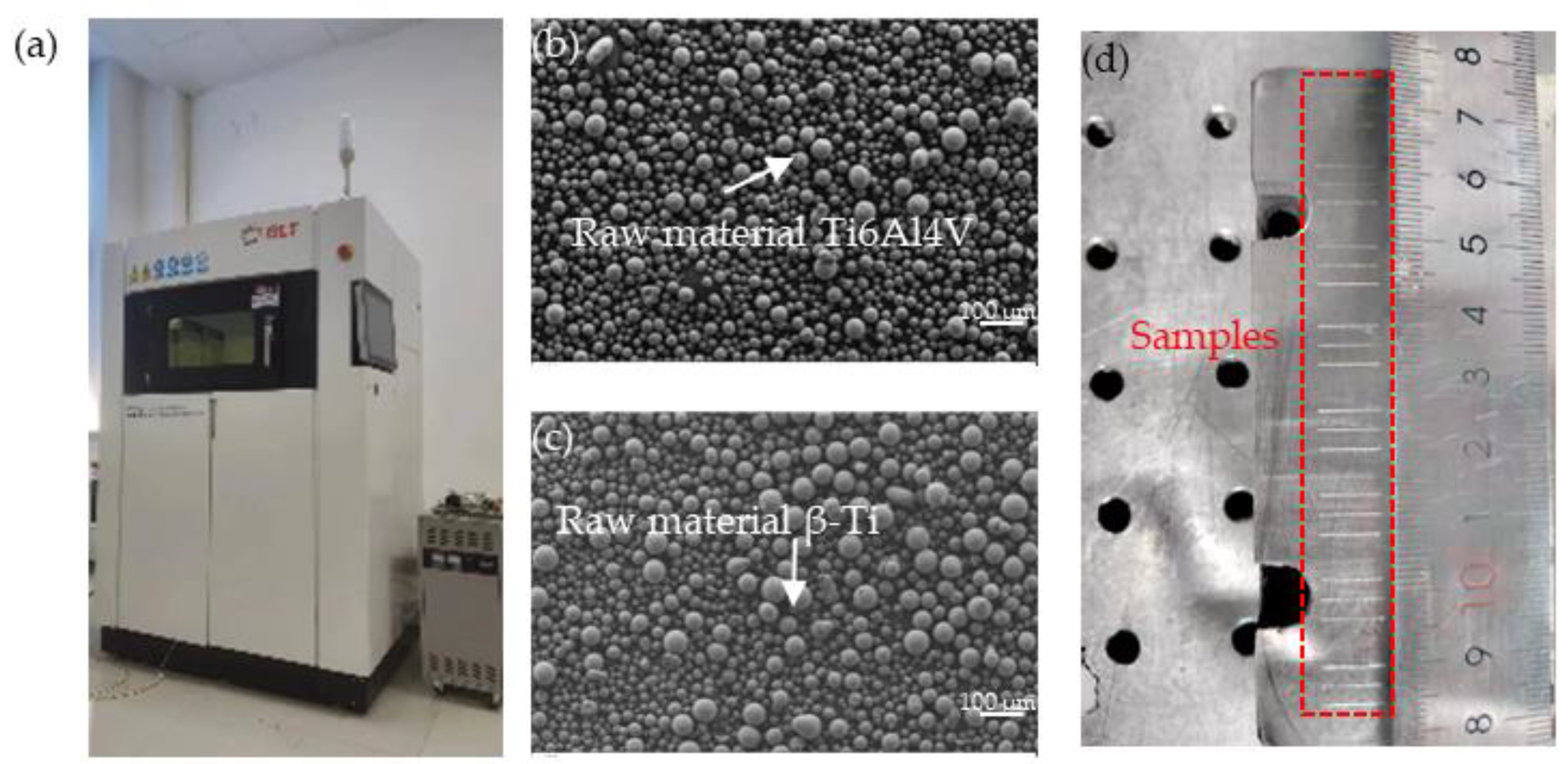 Coatings 15 00497 g002