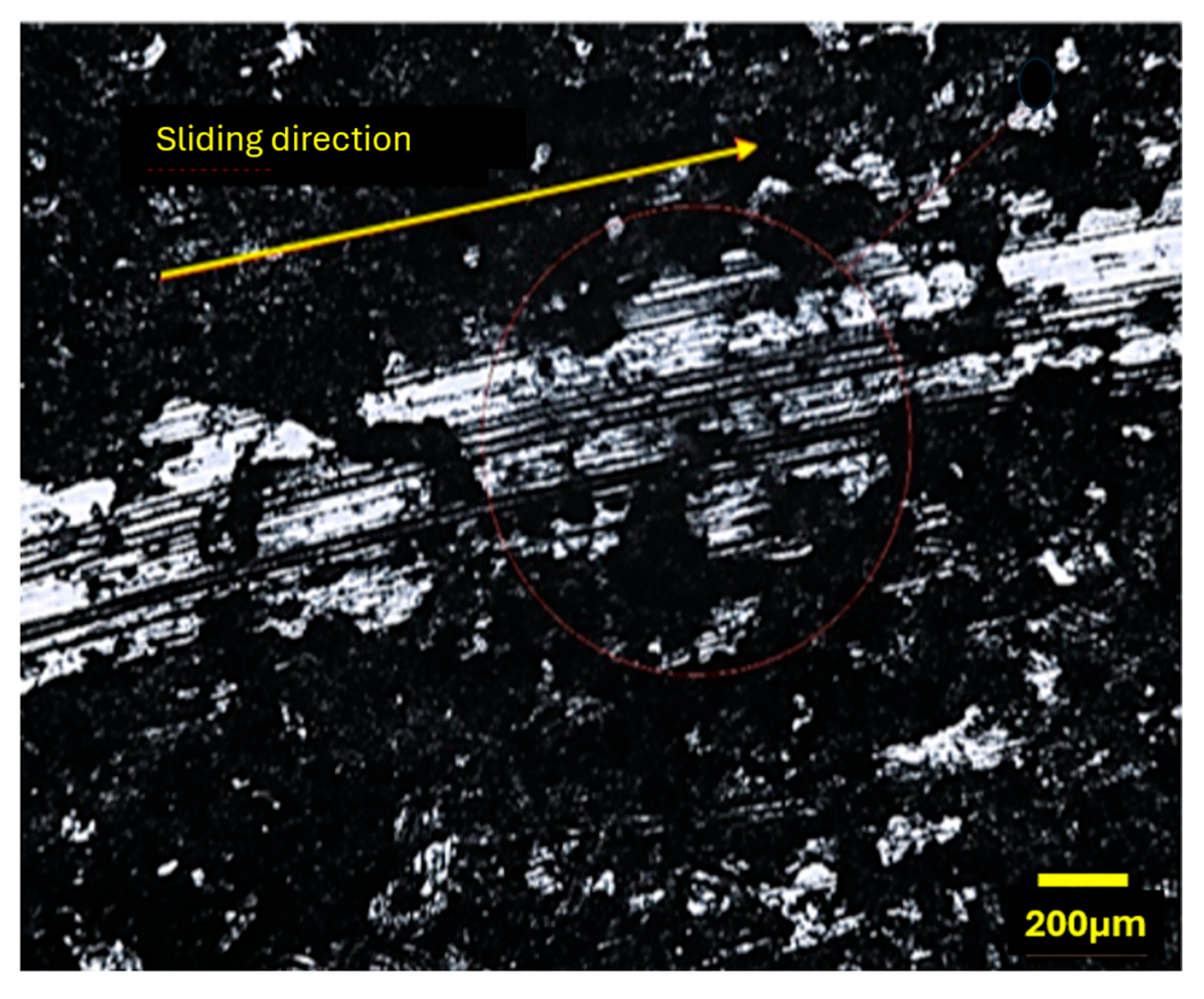 Coatings 15 00500 g011
