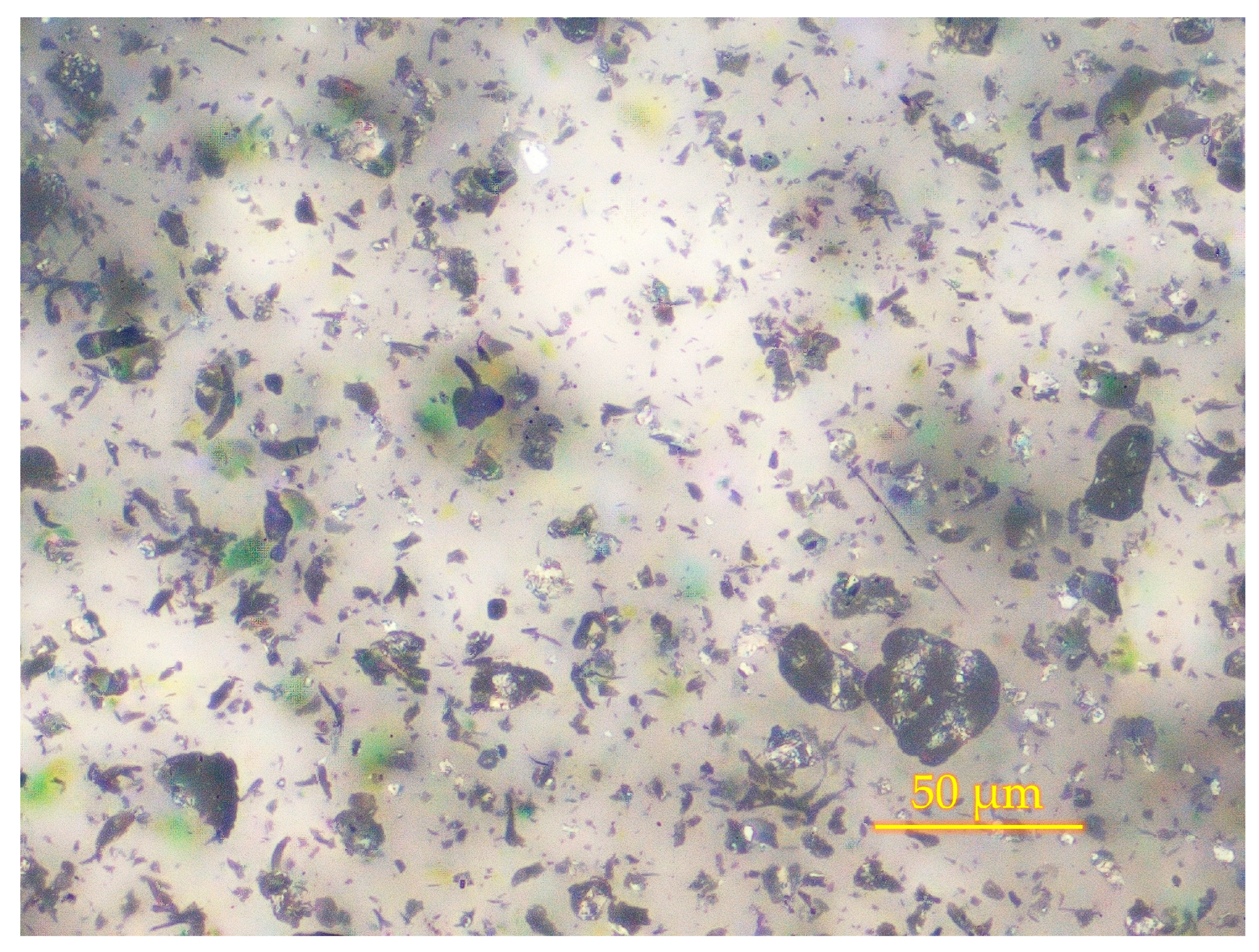 Coatings 15 00501 g005