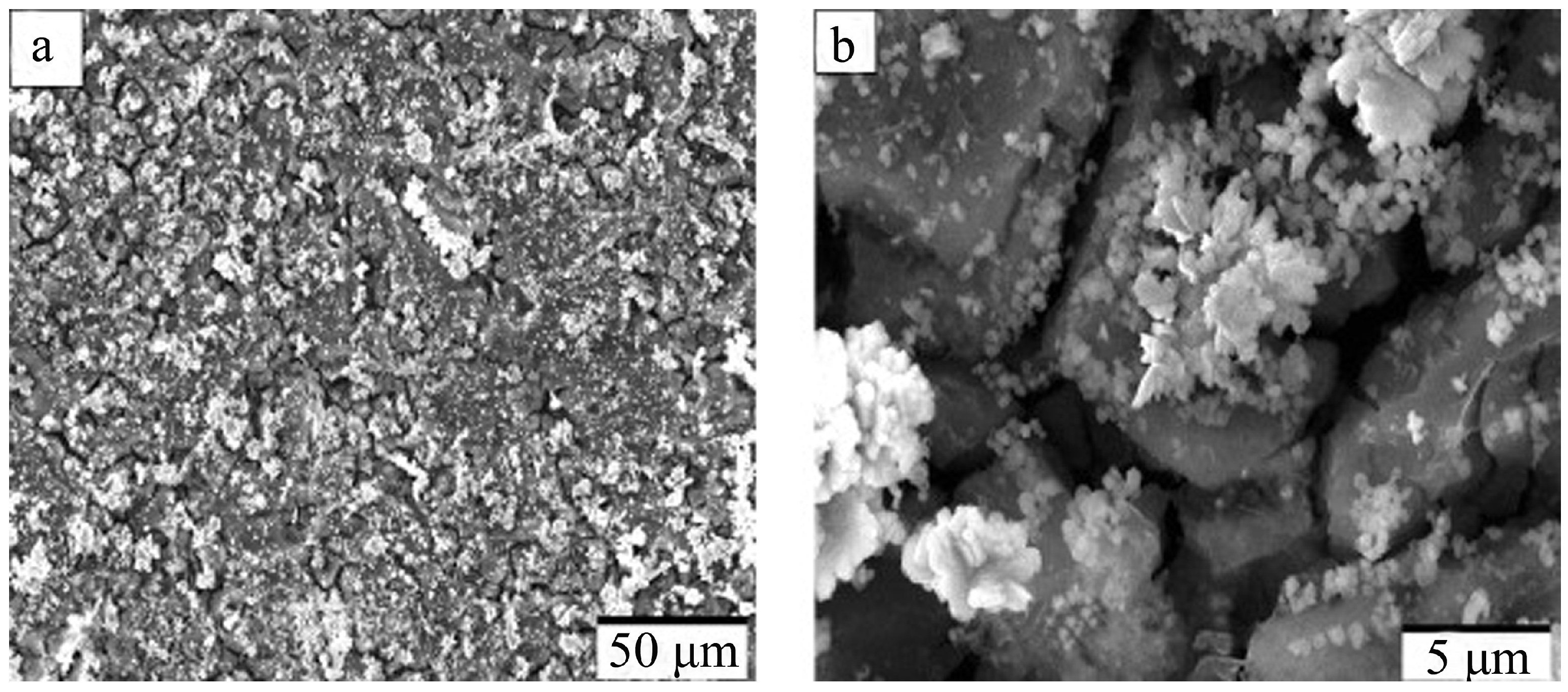 Coatings 15 00502 g003
