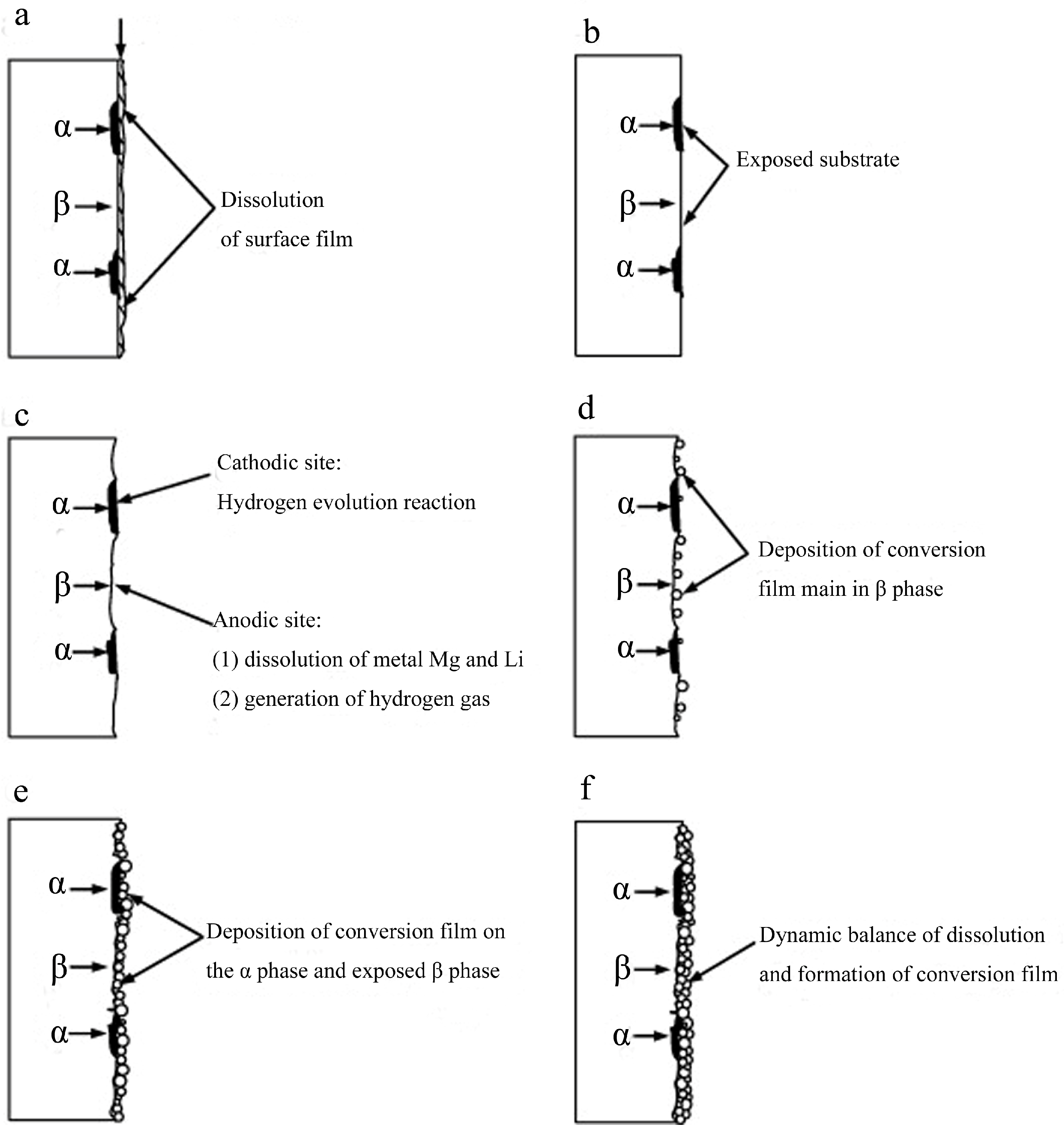Coatings 15 00502 g004