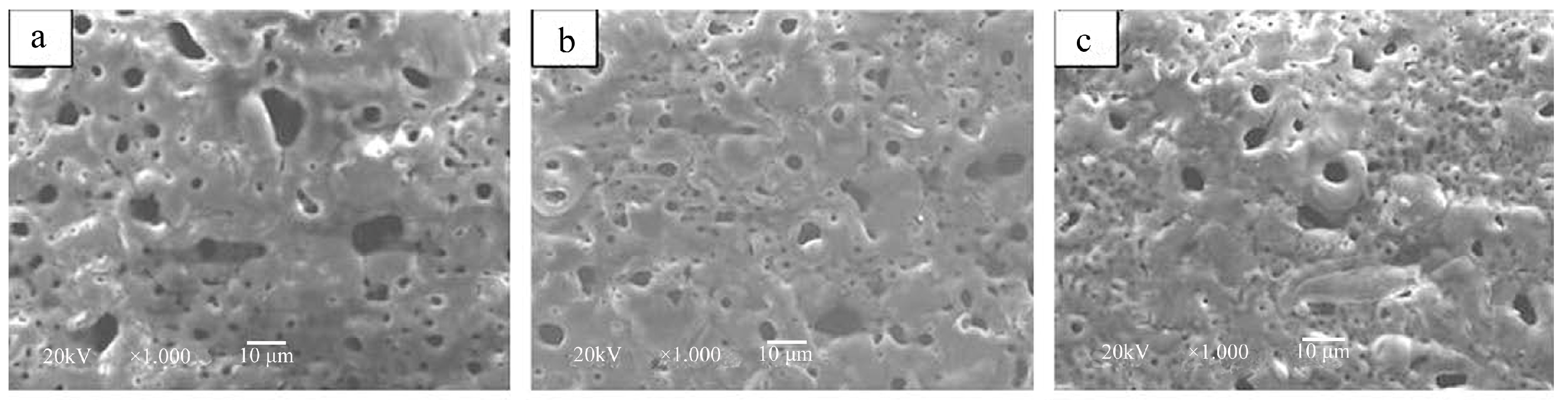 Coatings 15 00502 g009