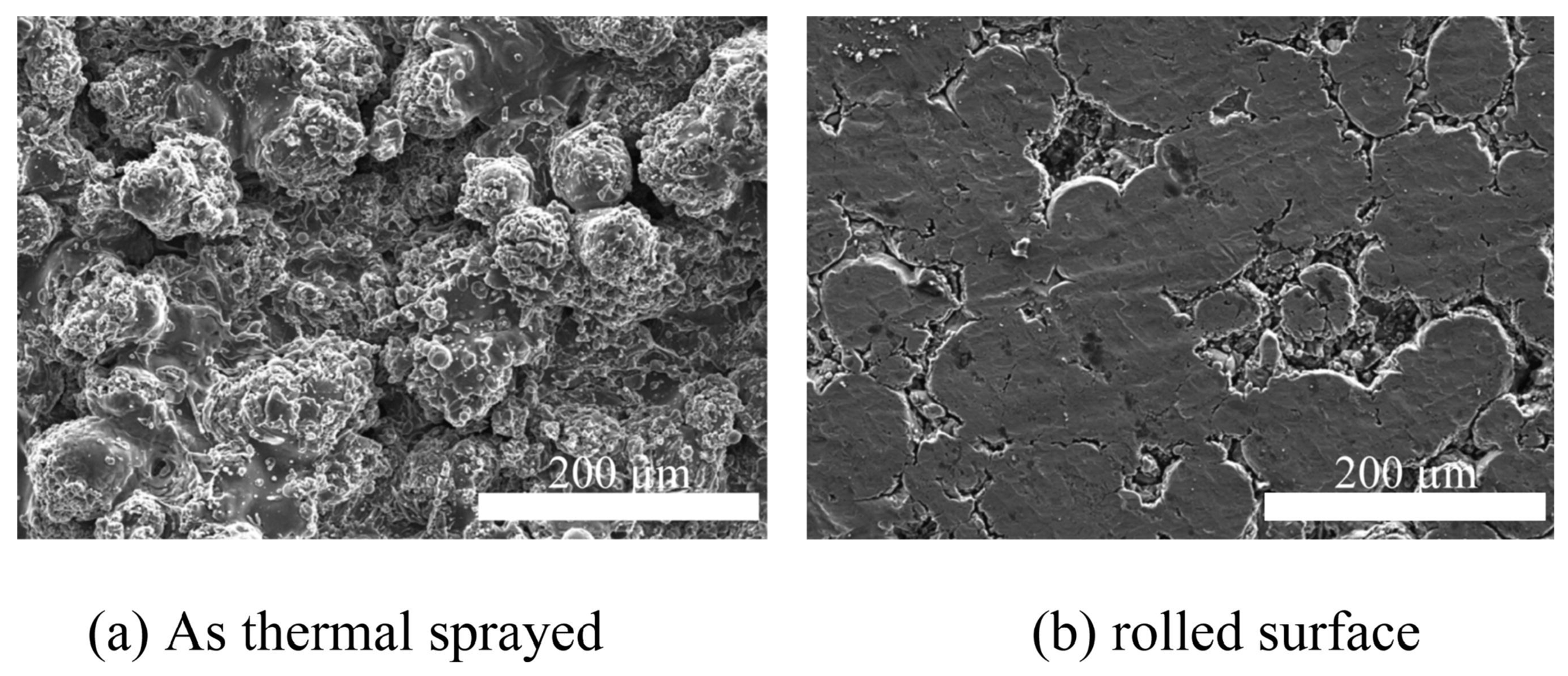 Coatings 15 00502 g012
