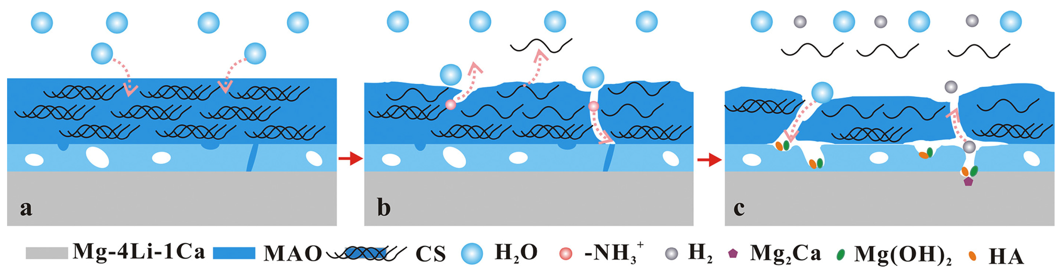 Coatings 15 00502 g016